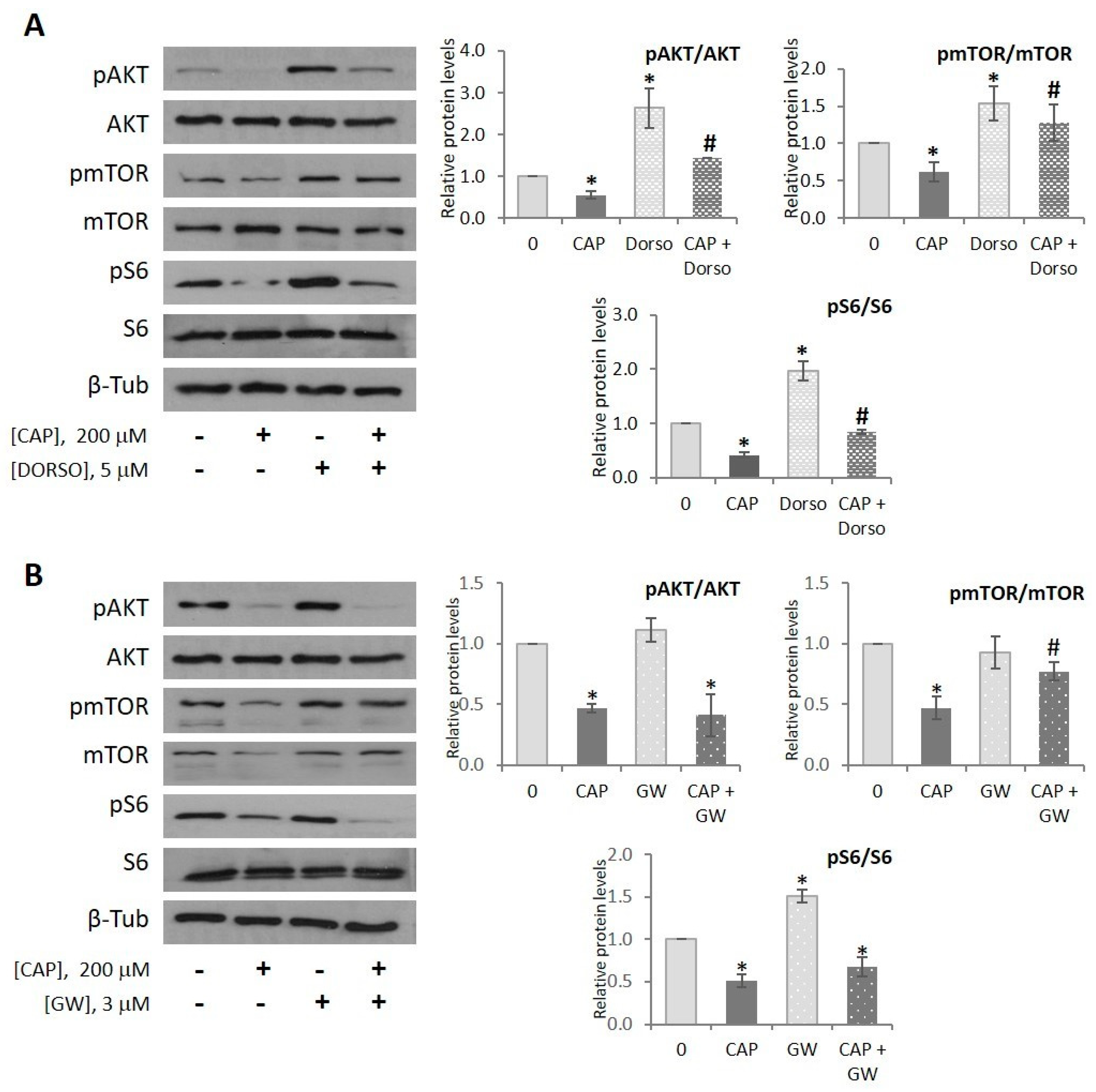 Ijms 20 01660 g005 Ijms 20 01660 g005