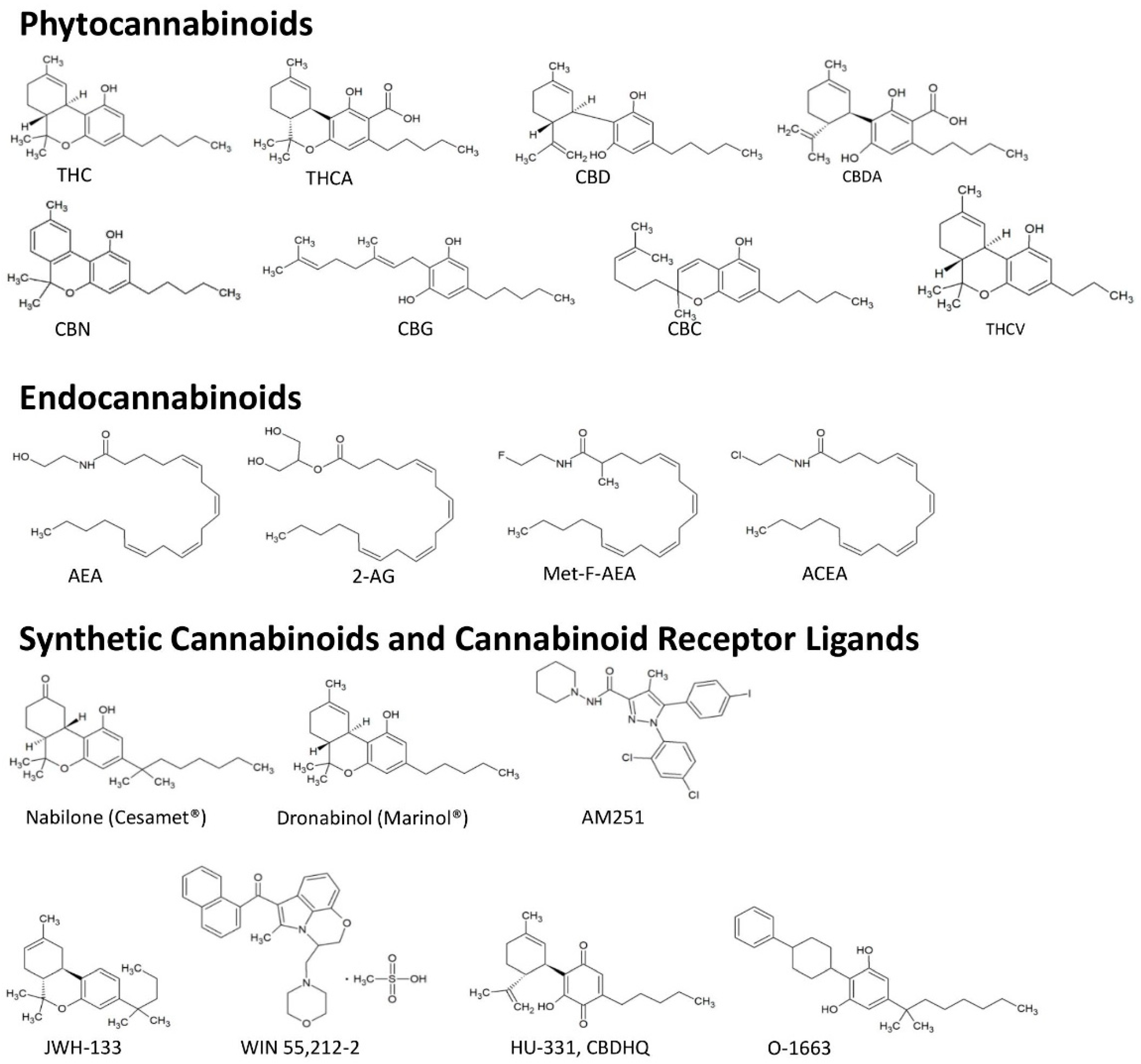 Ijms 20 01673 g001 Ijms 20 01673 g001