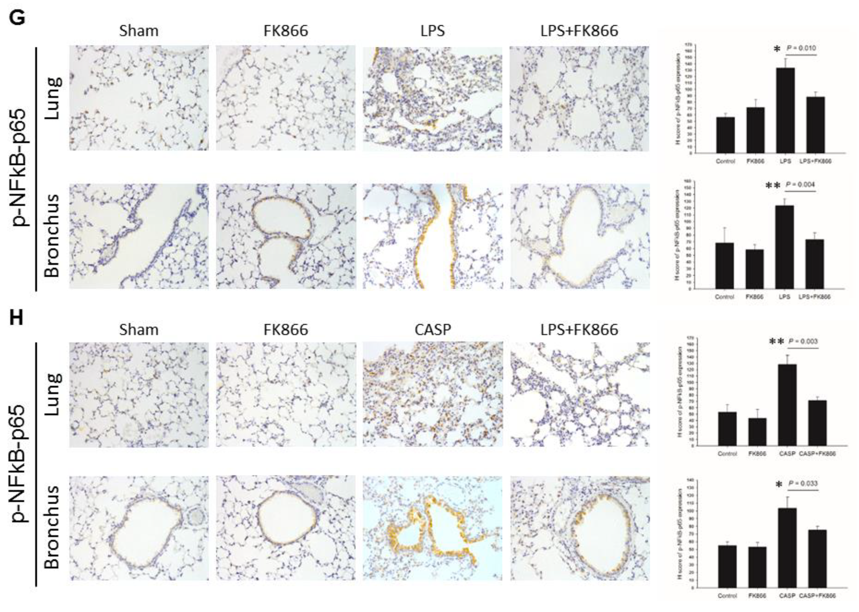 Ijms 20 01678 g003c Ijms 20 01678 g003c