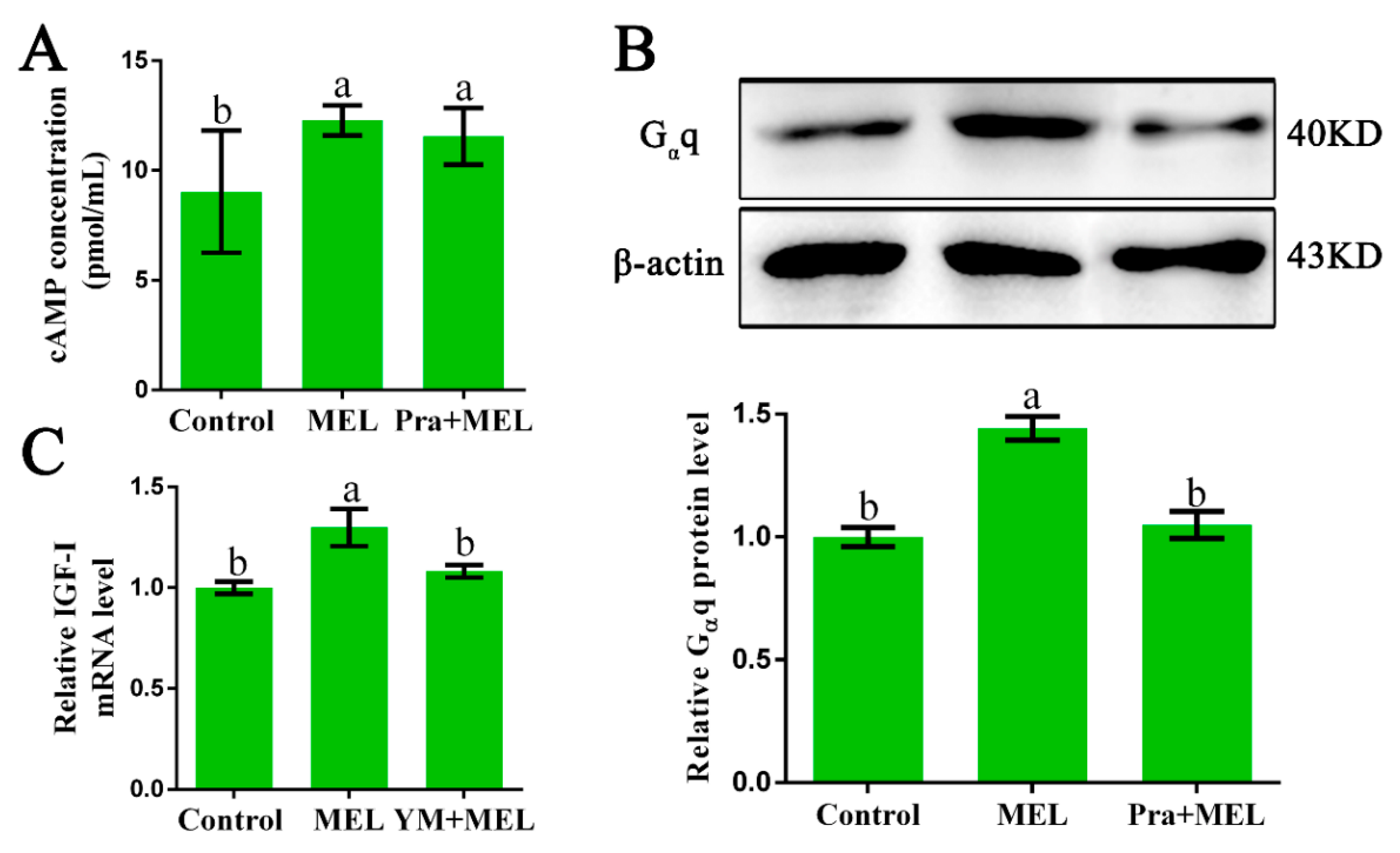 Ijms 20 01682 g002 Ijms 20 01682 g002