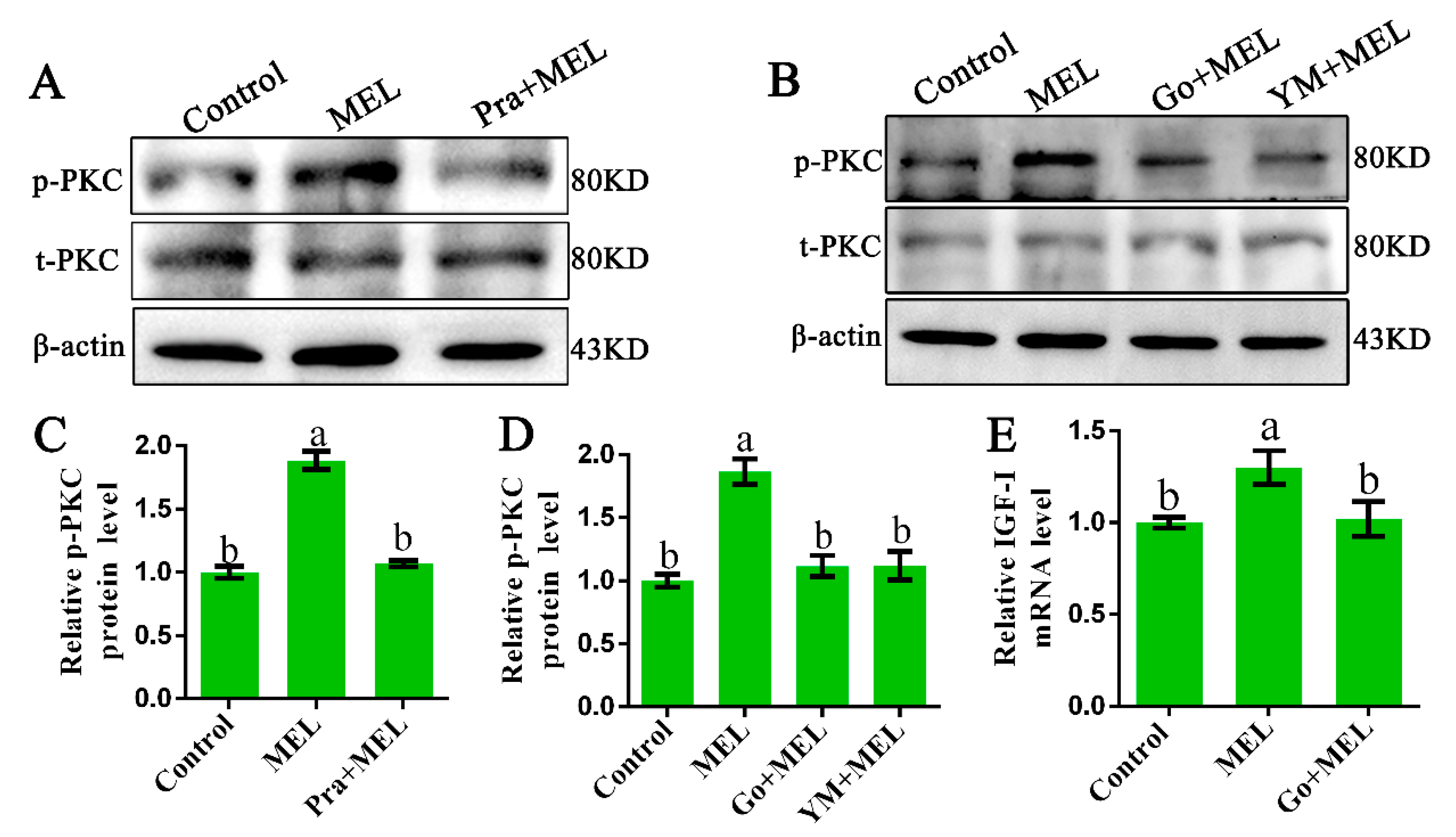 Ijms 20 01682 g003 Ijms 20 01682 g003