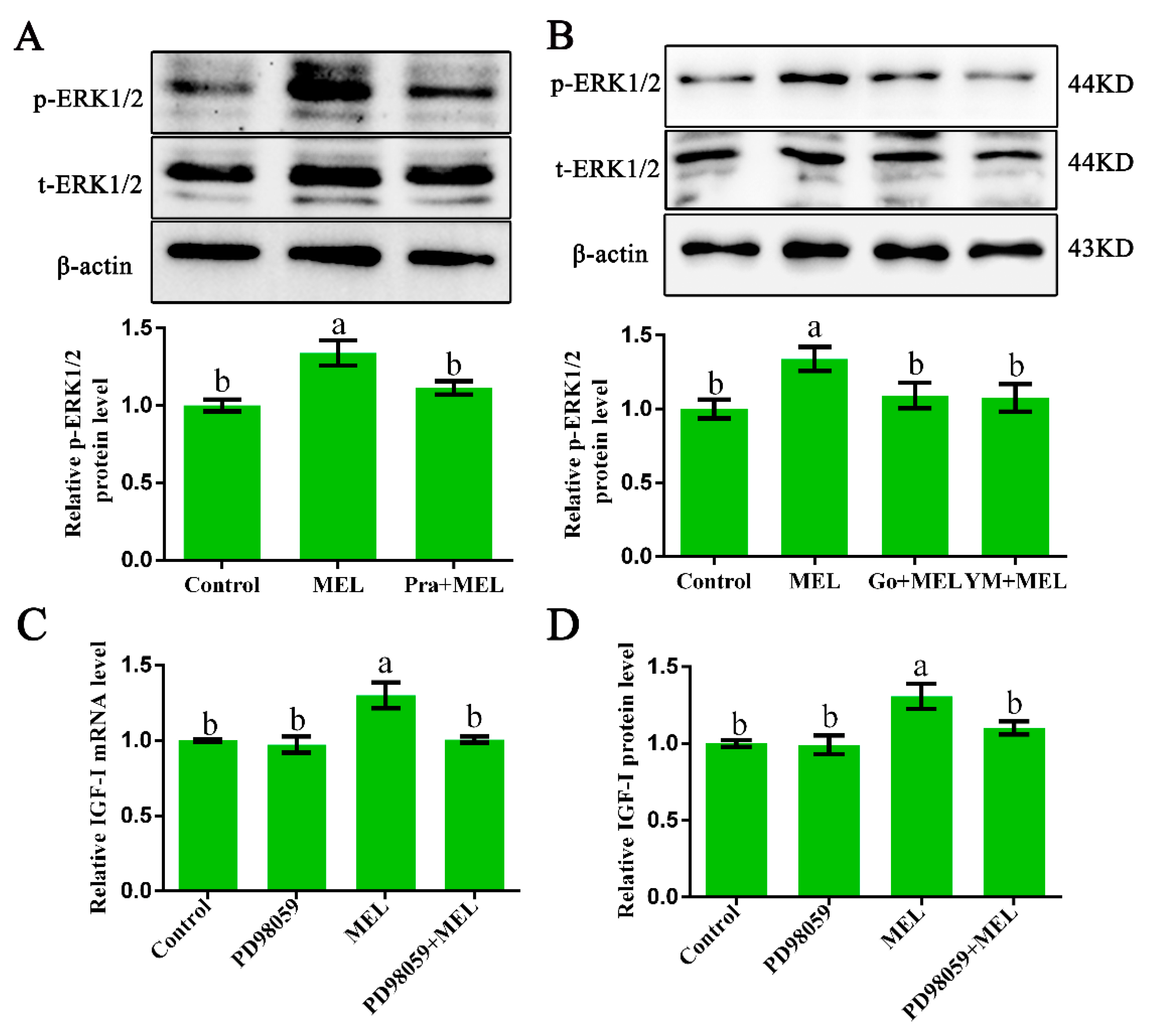 Ijms 20 01682 g004 Ijms 20 01682 g004