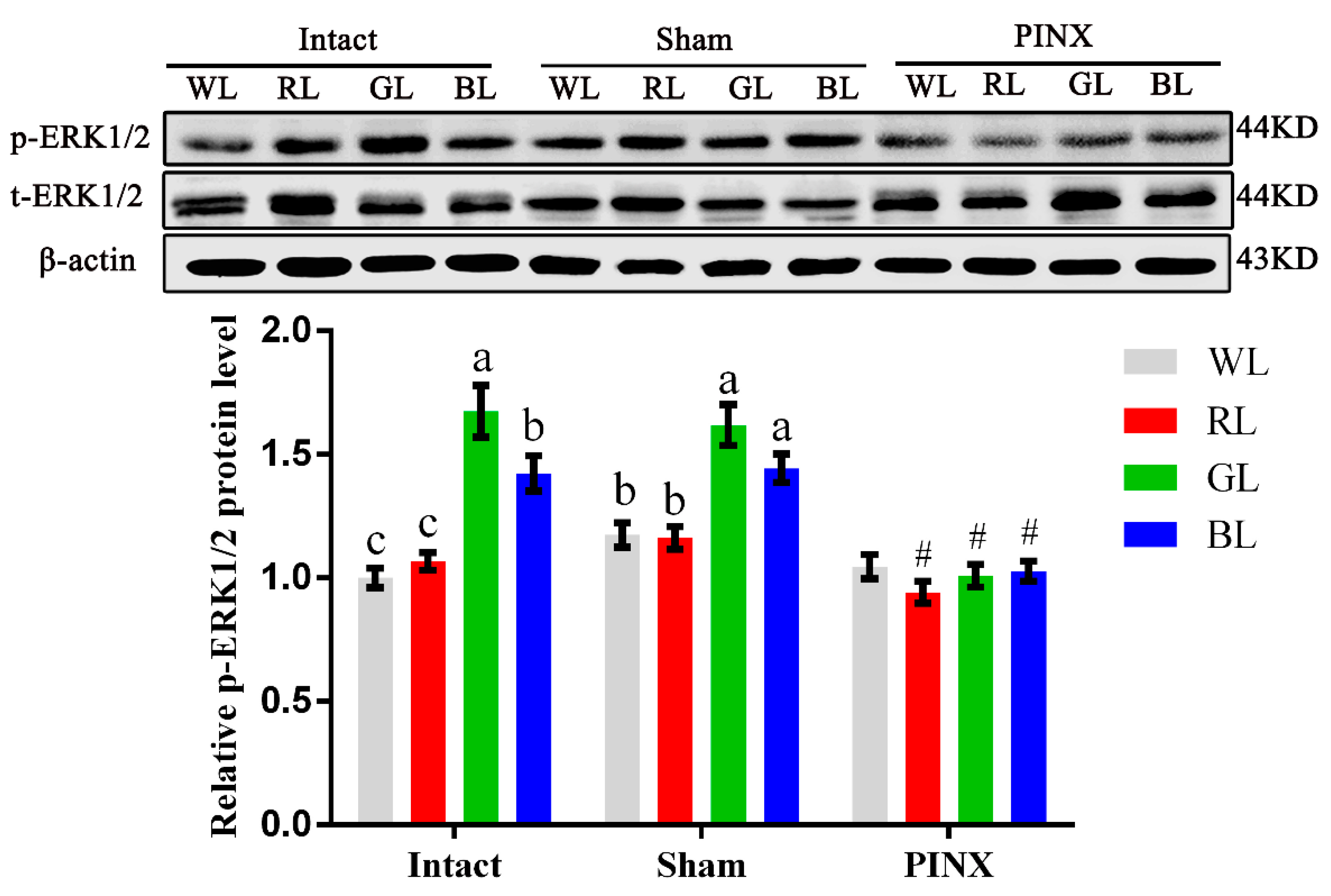 Ijms 20 01682 g005 Ijms 20 01682 g005