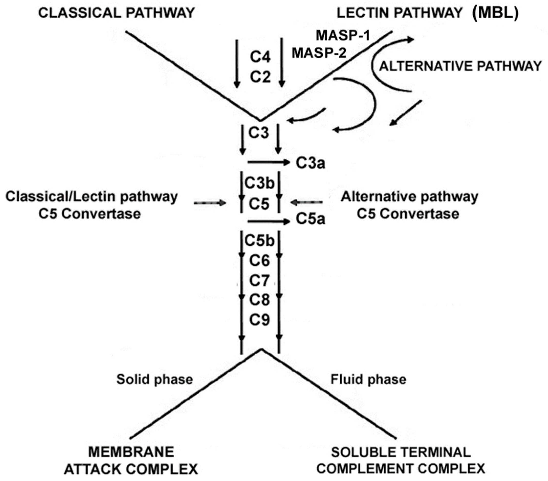 Ijms 20 01693 sch001