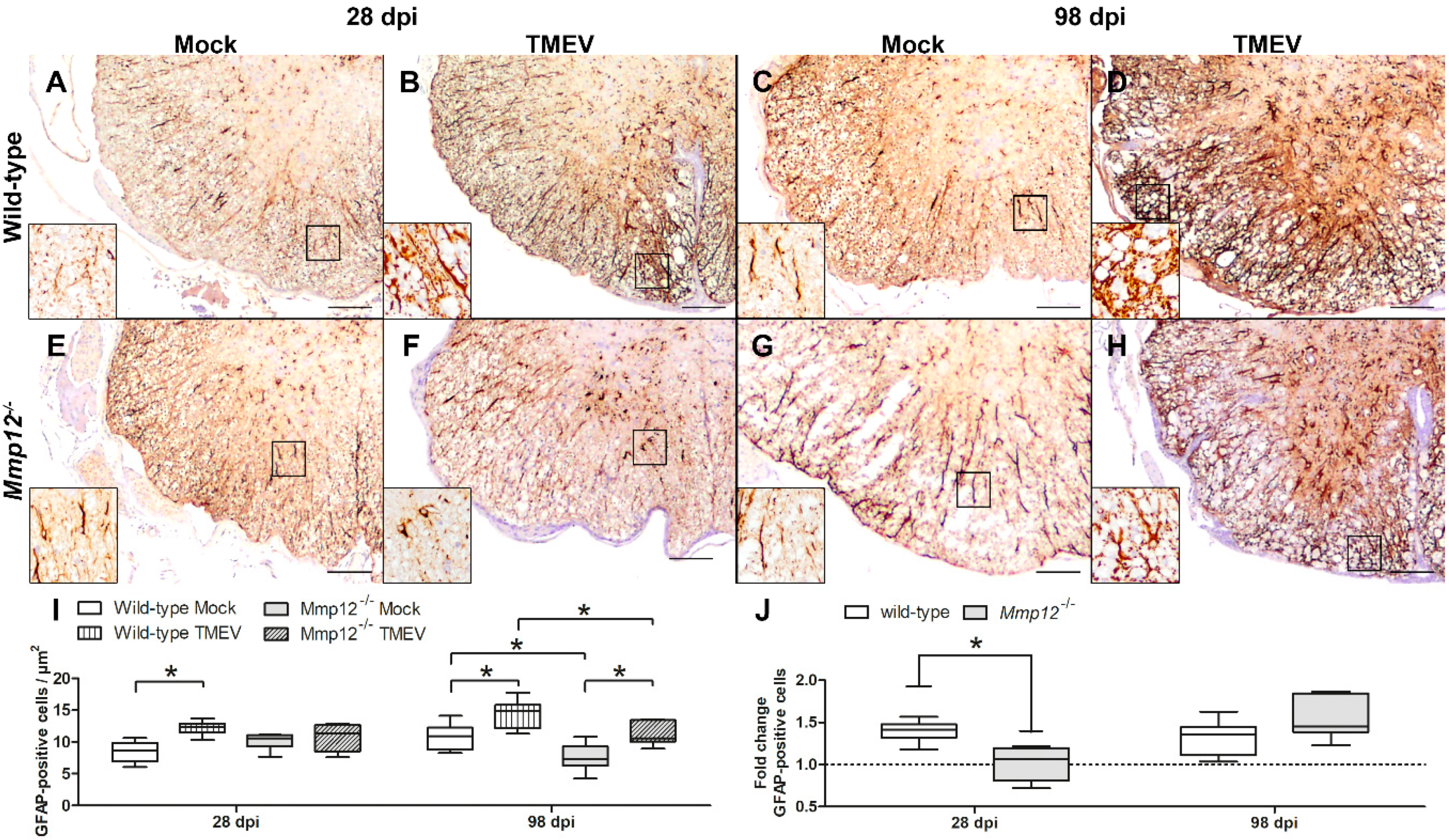 Ijms 20 01702 g001 Ijms 20 01702 g001