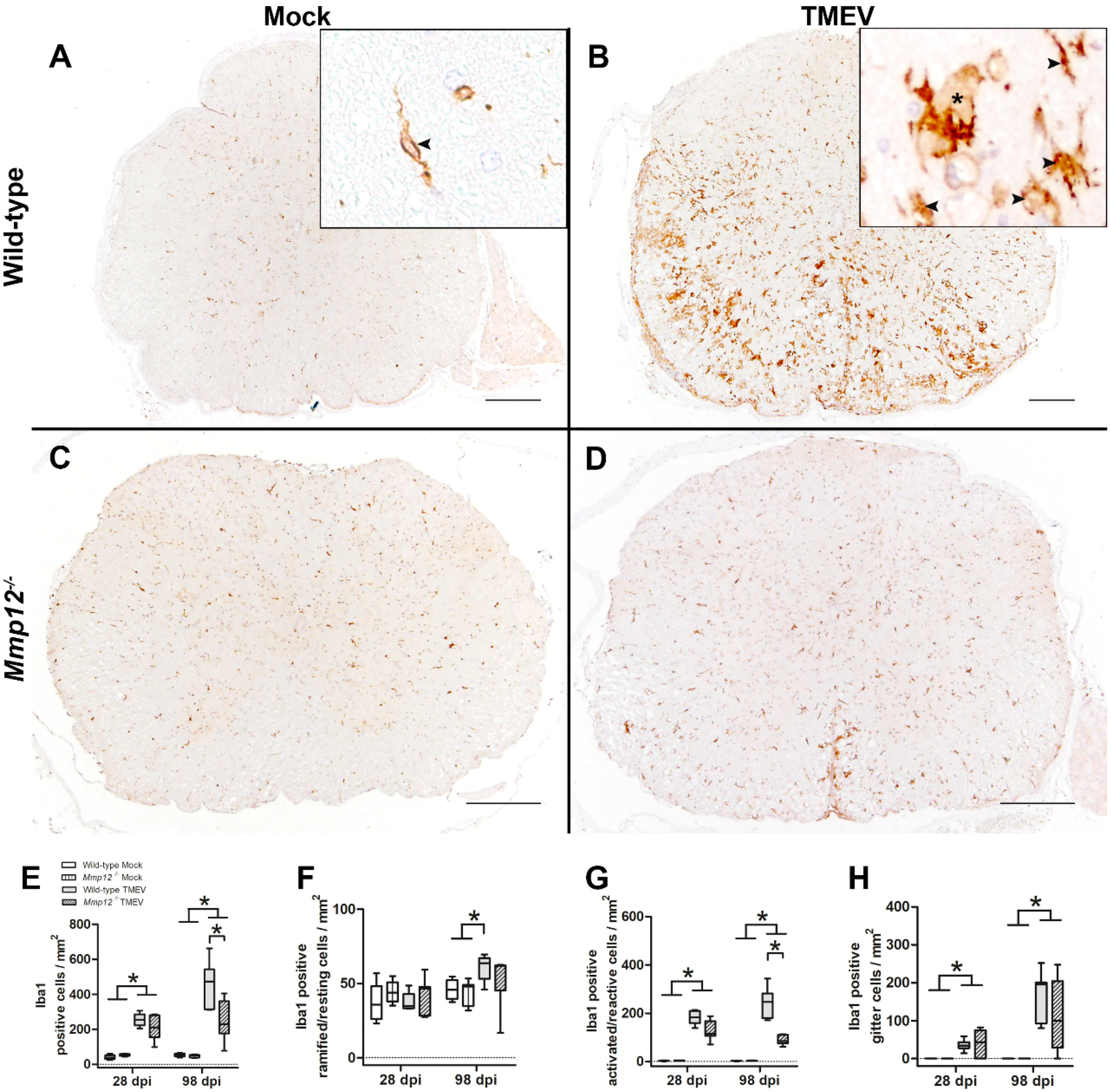 Ijms 20 01702 g002 Ijms 20 01702 g002