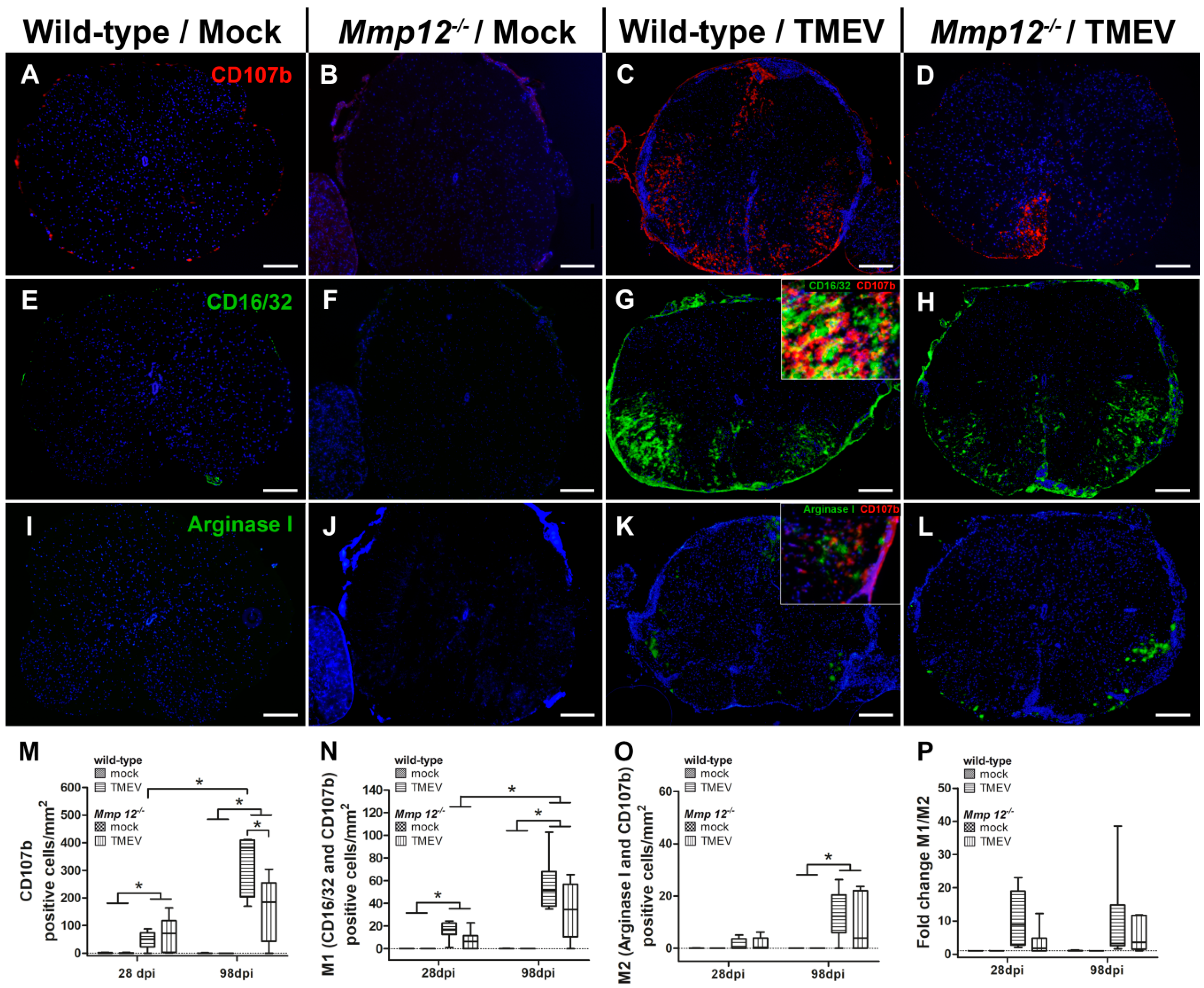 Ijms 20 01702 g004 Ijms 20 01702 g004