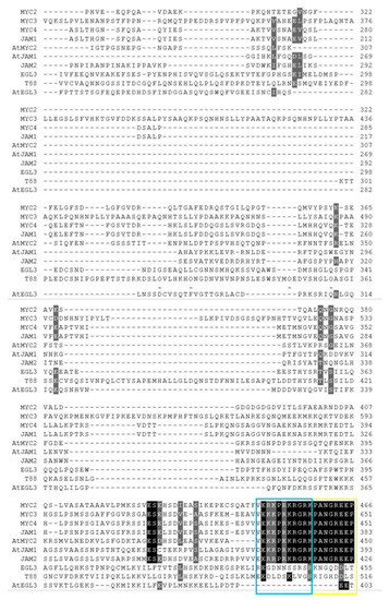 Ijms 20 01843 g0a3b Ijms 20 01843 g0a3b