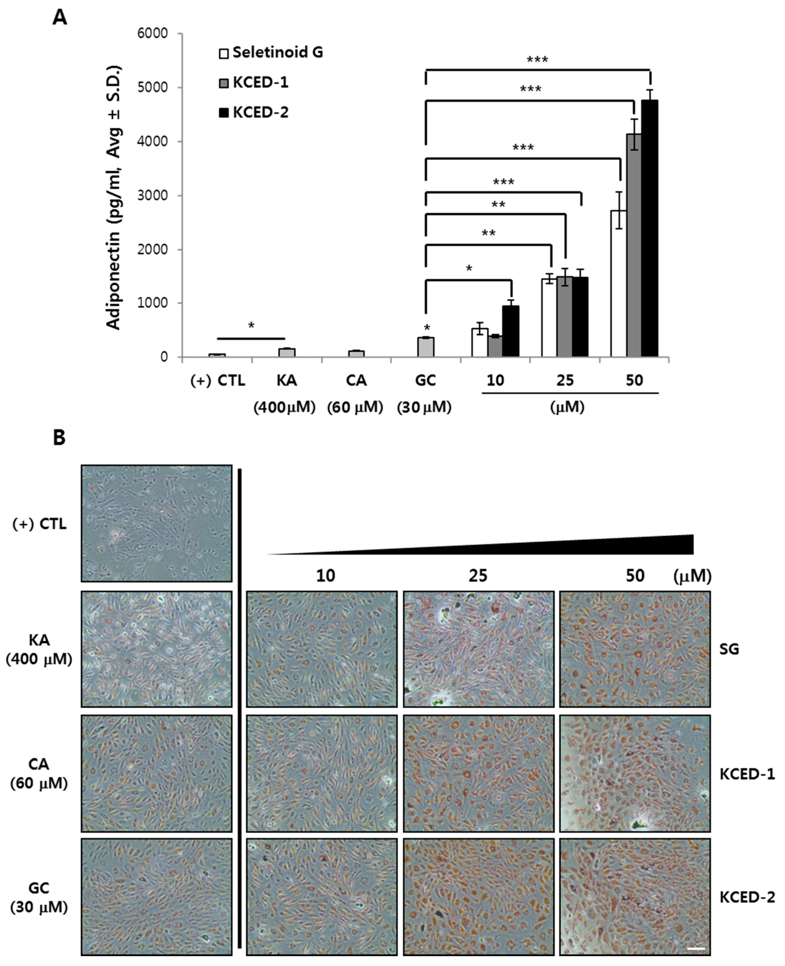 Ijms 20 01859 g004