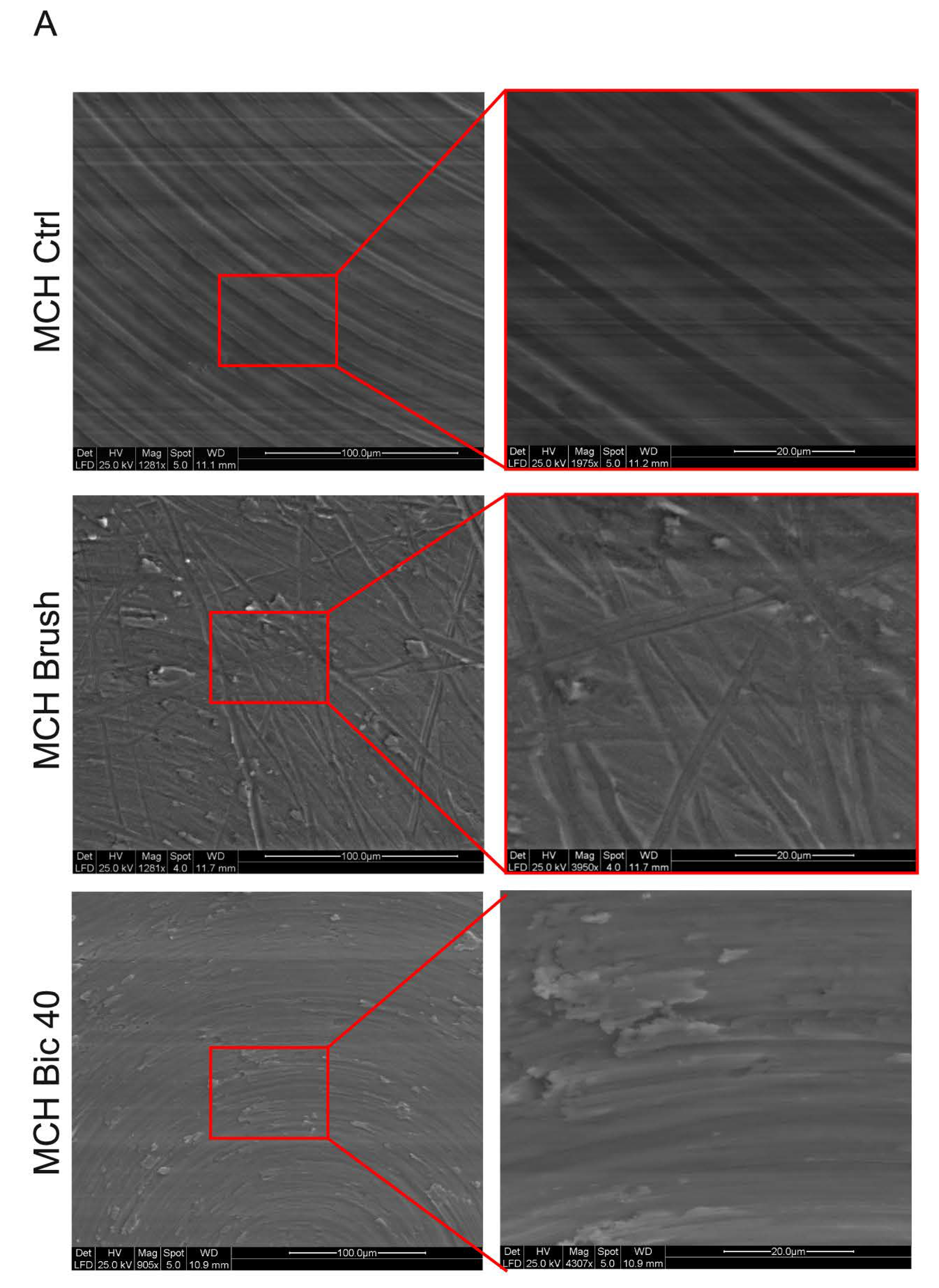 Ijms 20 01868 g001a
