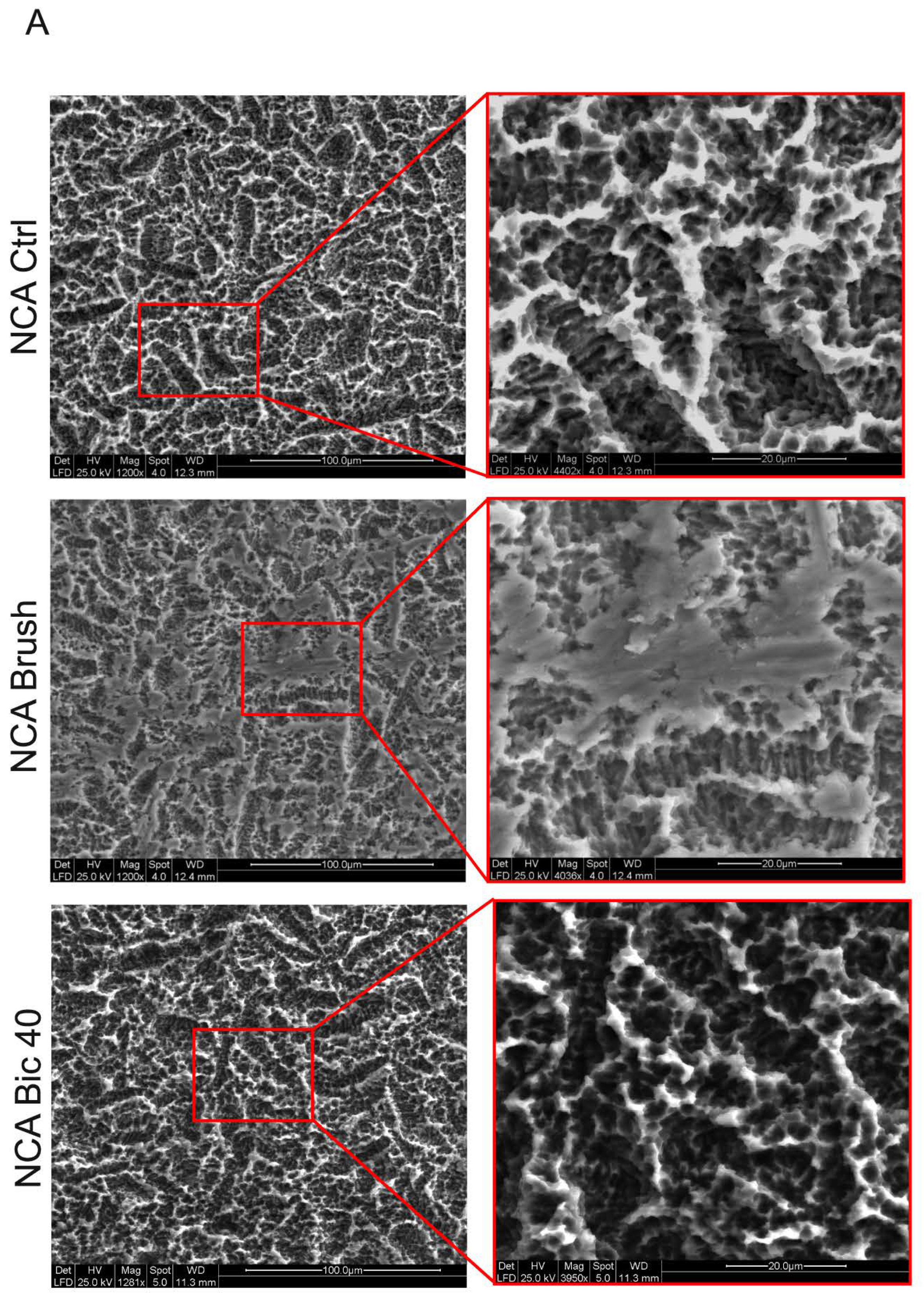 Ijms 20 01868 g002a