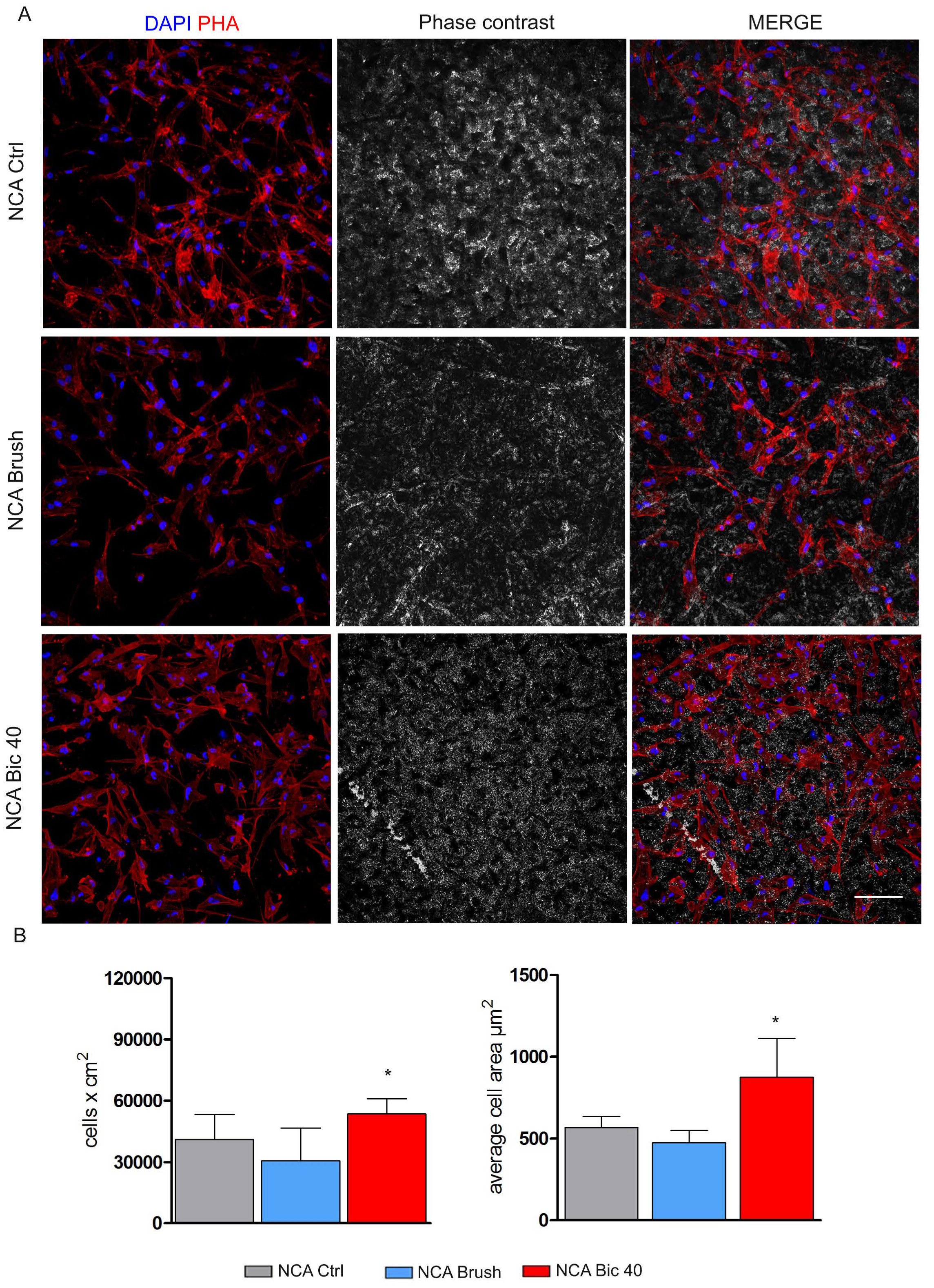 Ijms 20 01868 g004