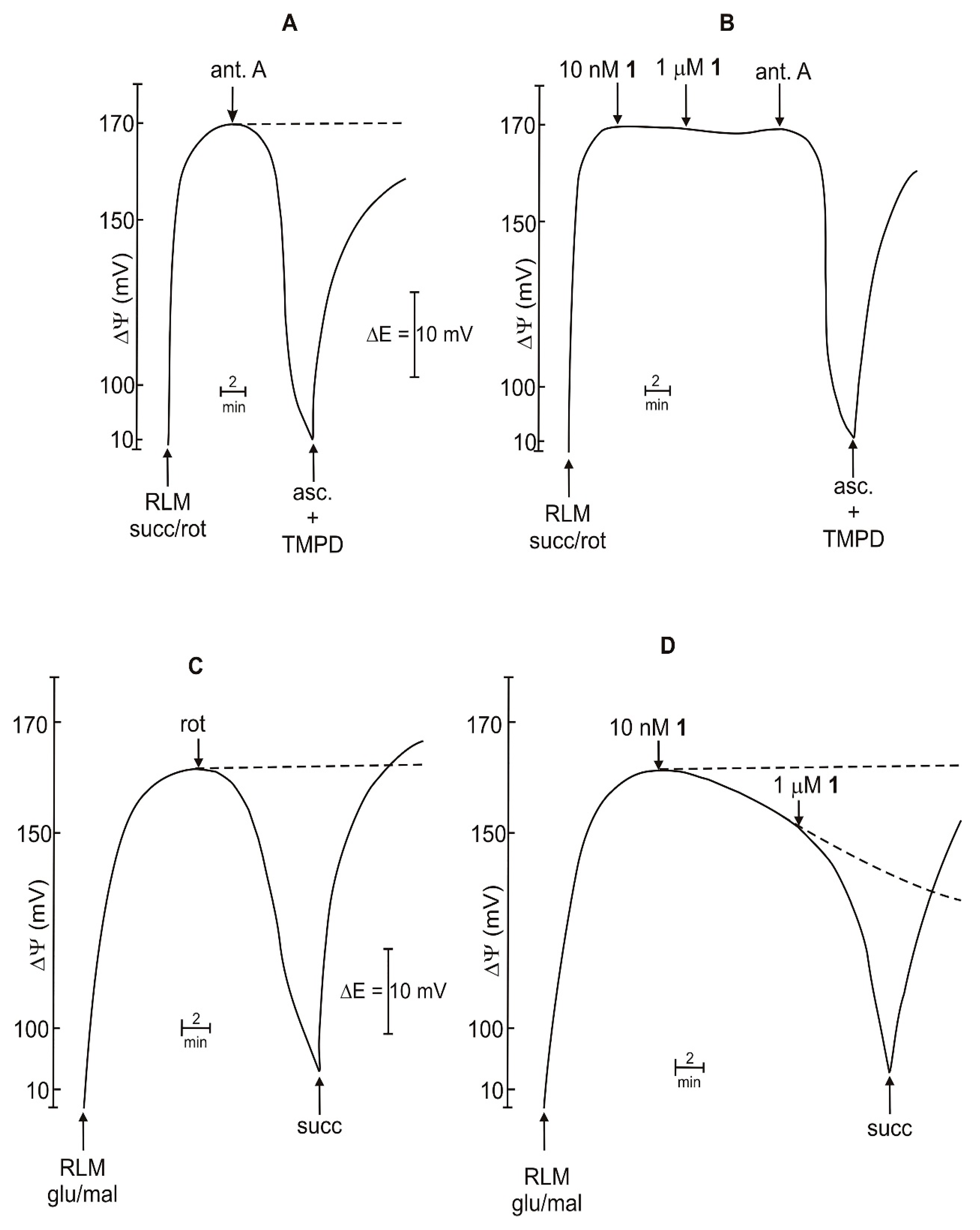 Ijms 20 01870 g004