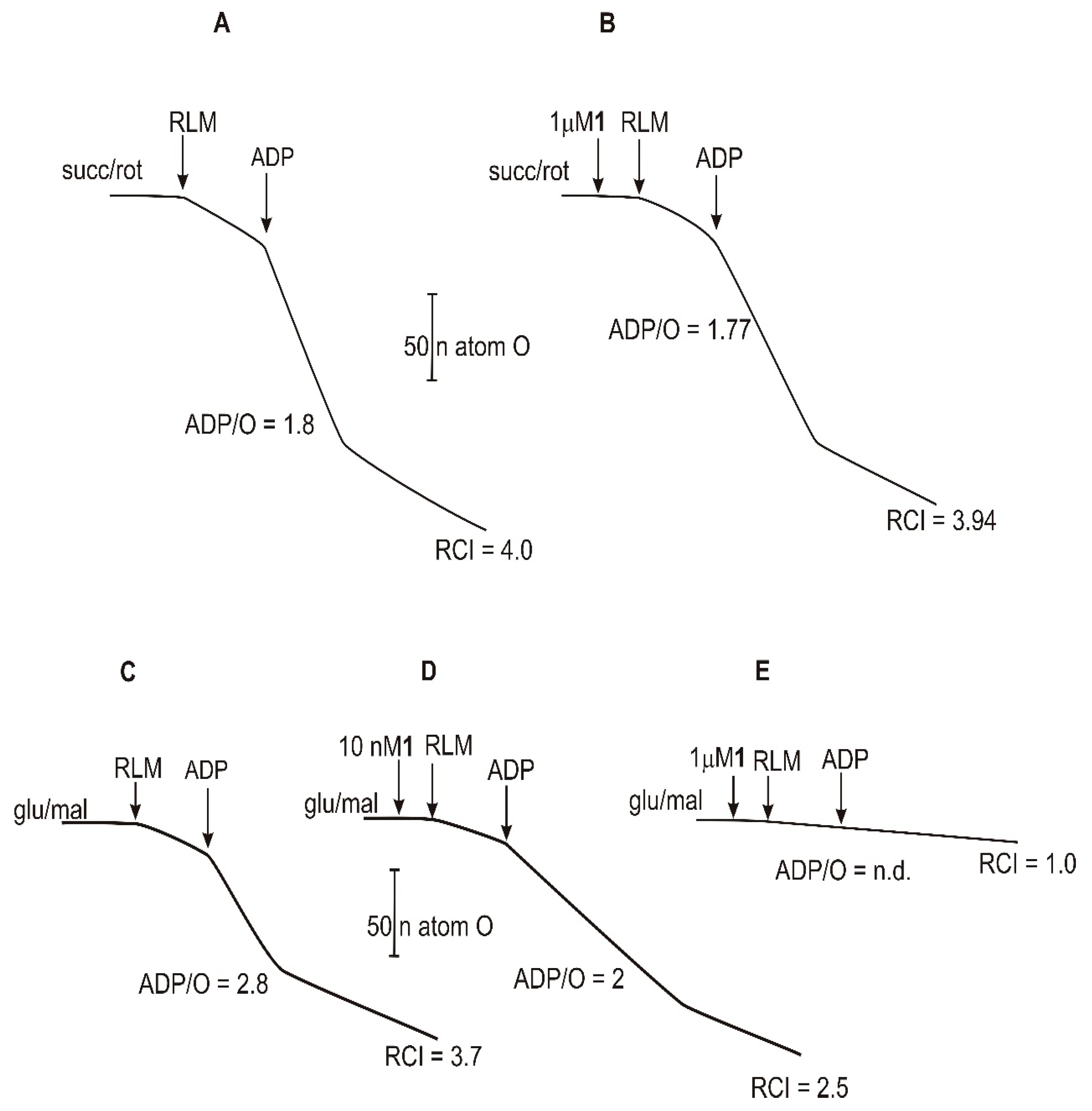 Ijms 20 01870 g005
