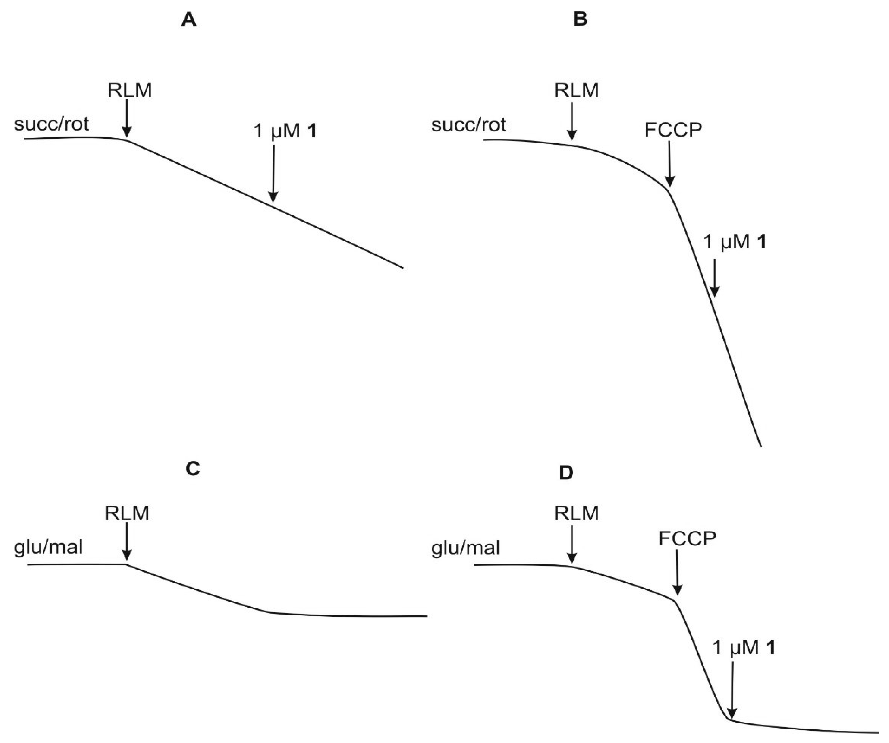 Ijms 20 01870 g006