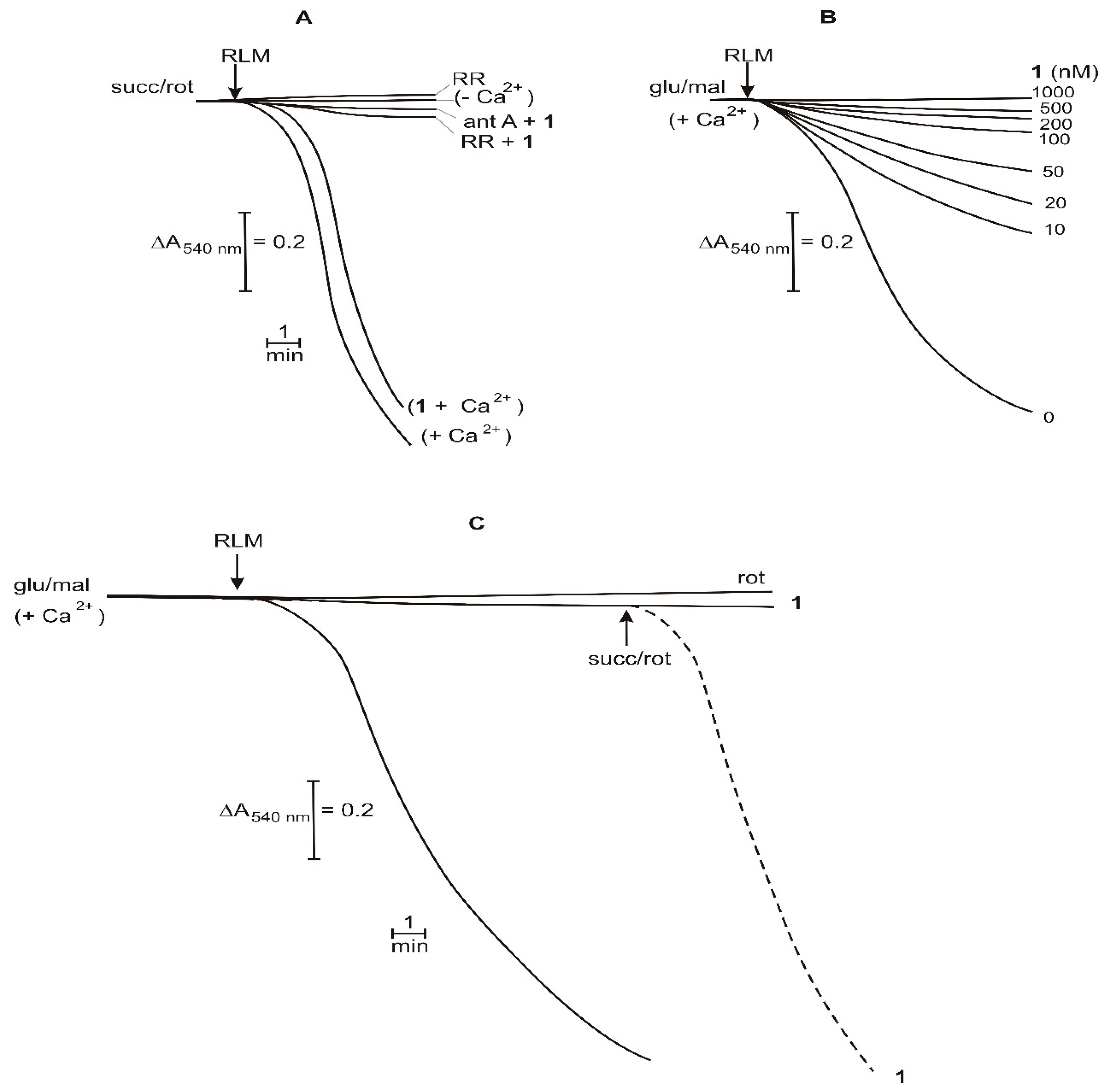 Ijms 20 01870 g007