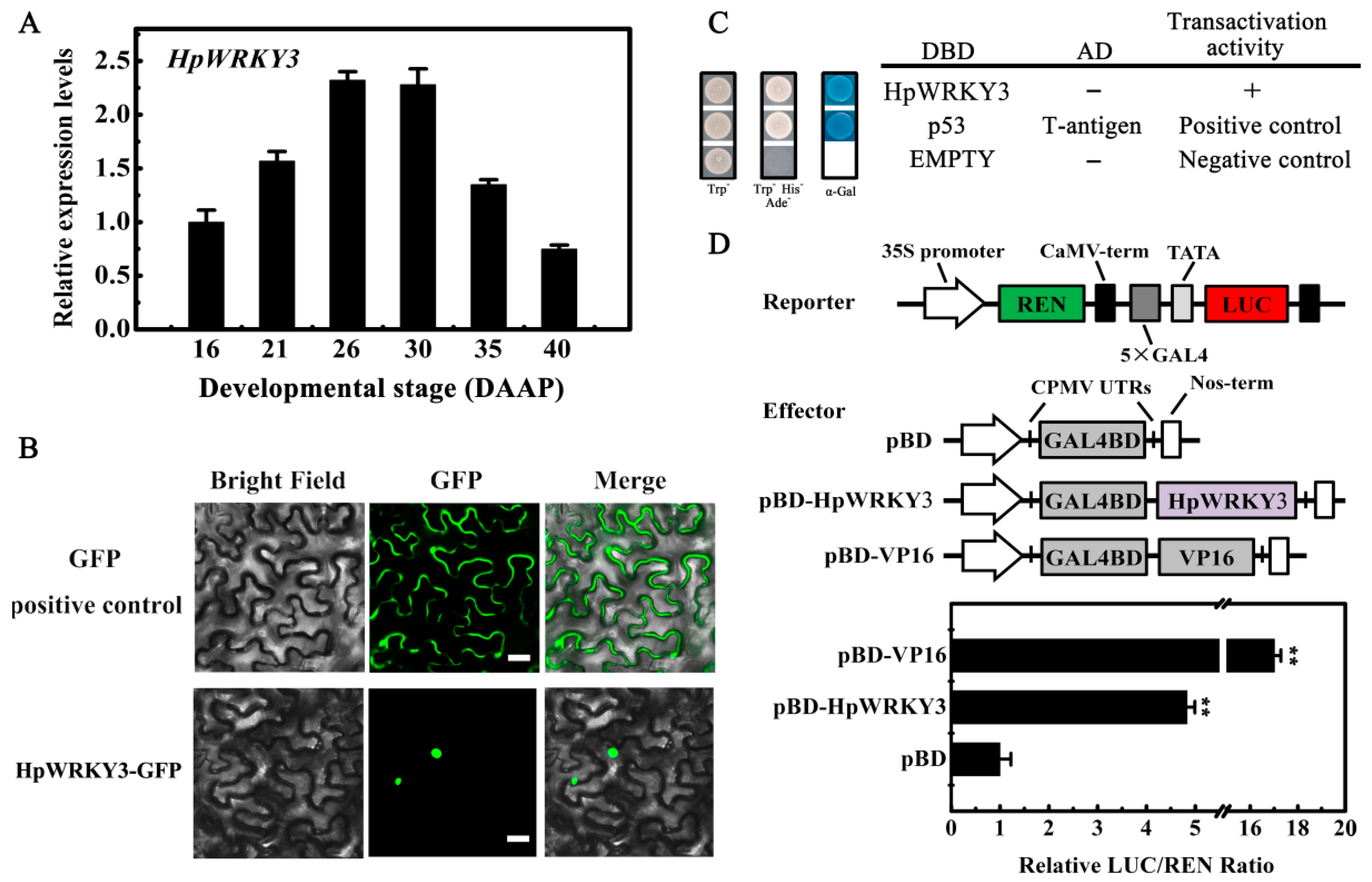 Ijms 20 01890 g005 Ijms 20 01890 g005