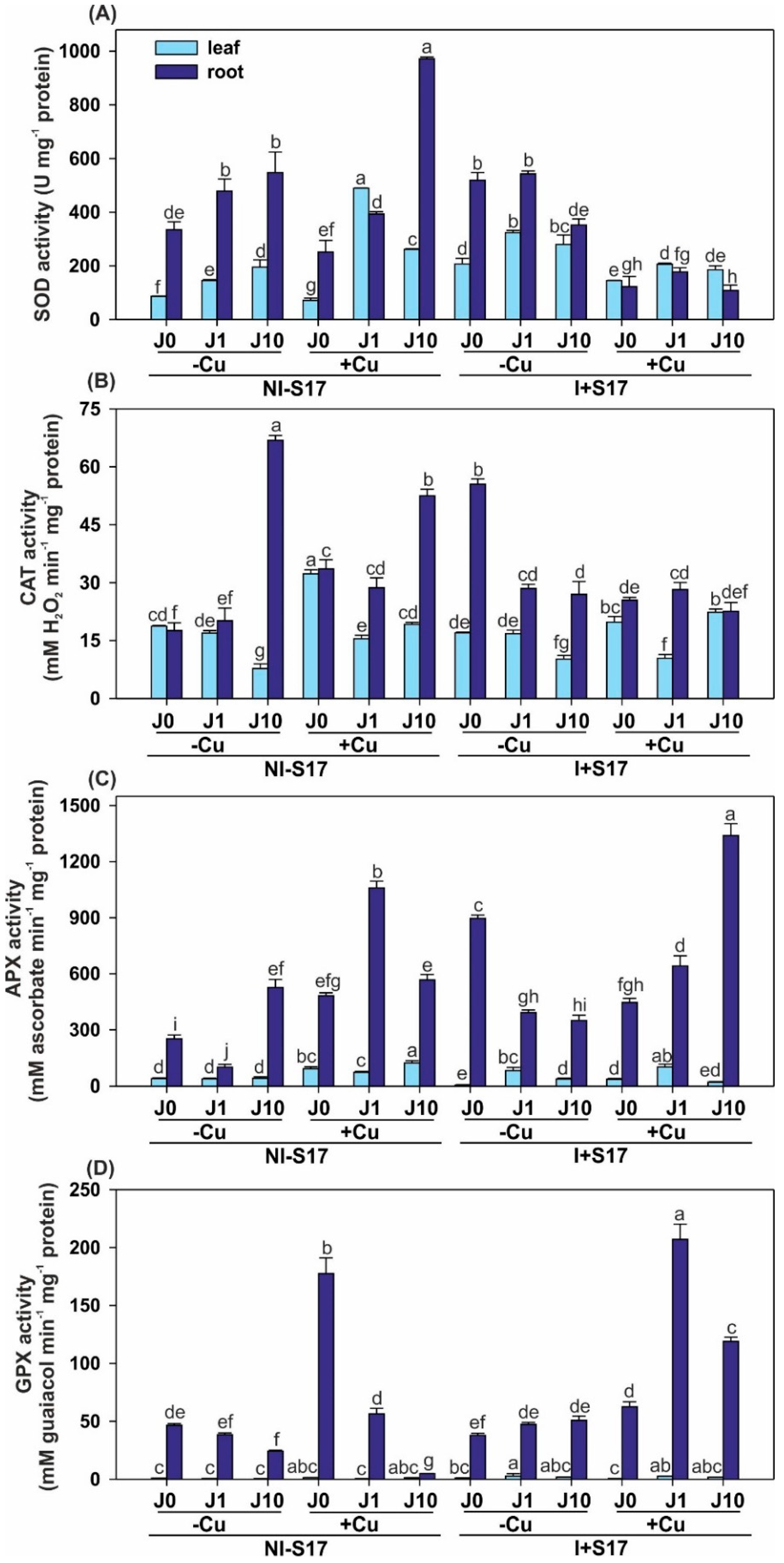 Ijms 20 01909 g005 Ijms 20 01909 g005