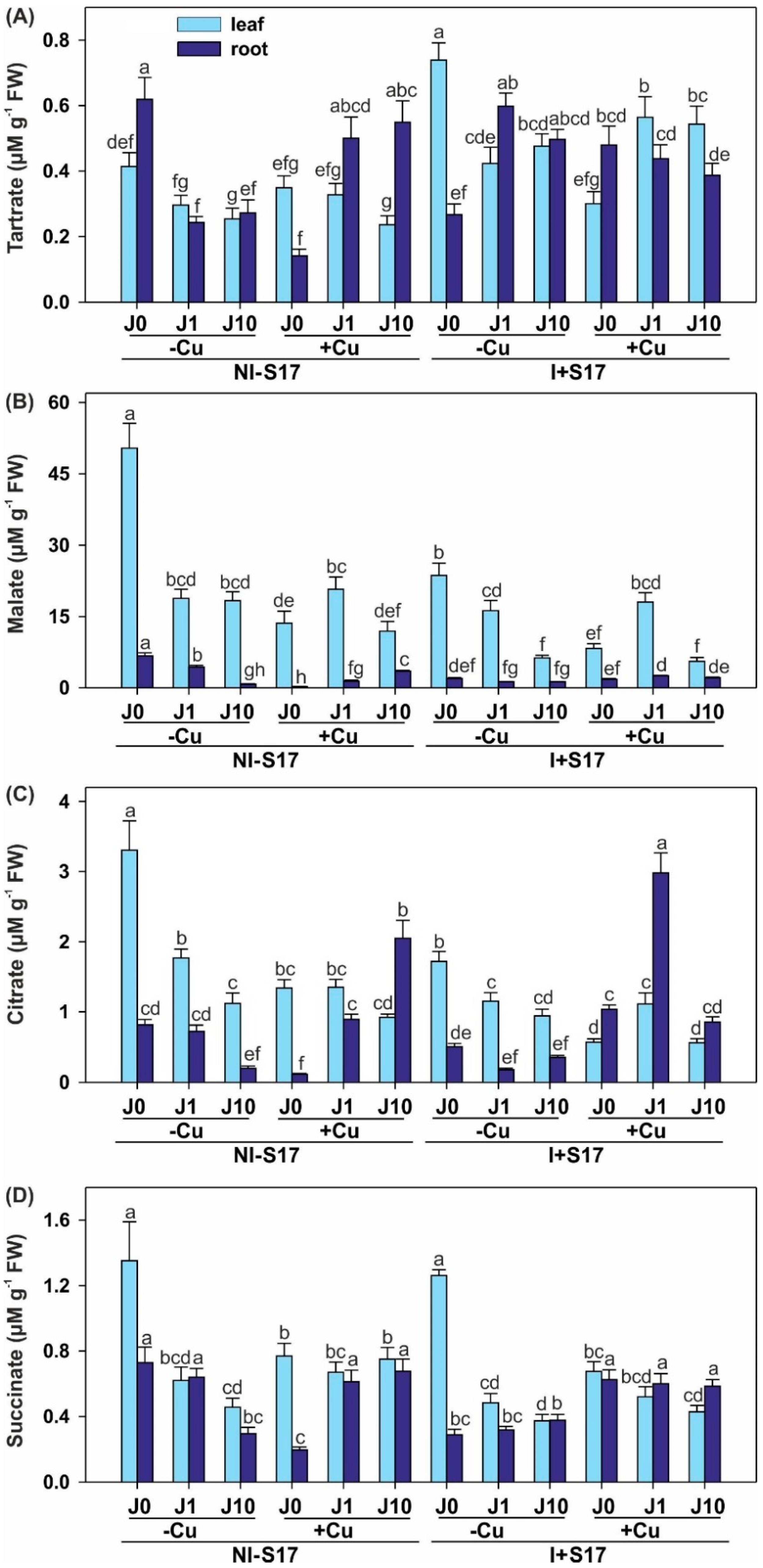 Ijms 20 01909 g008 Ijms 20 01909 g008