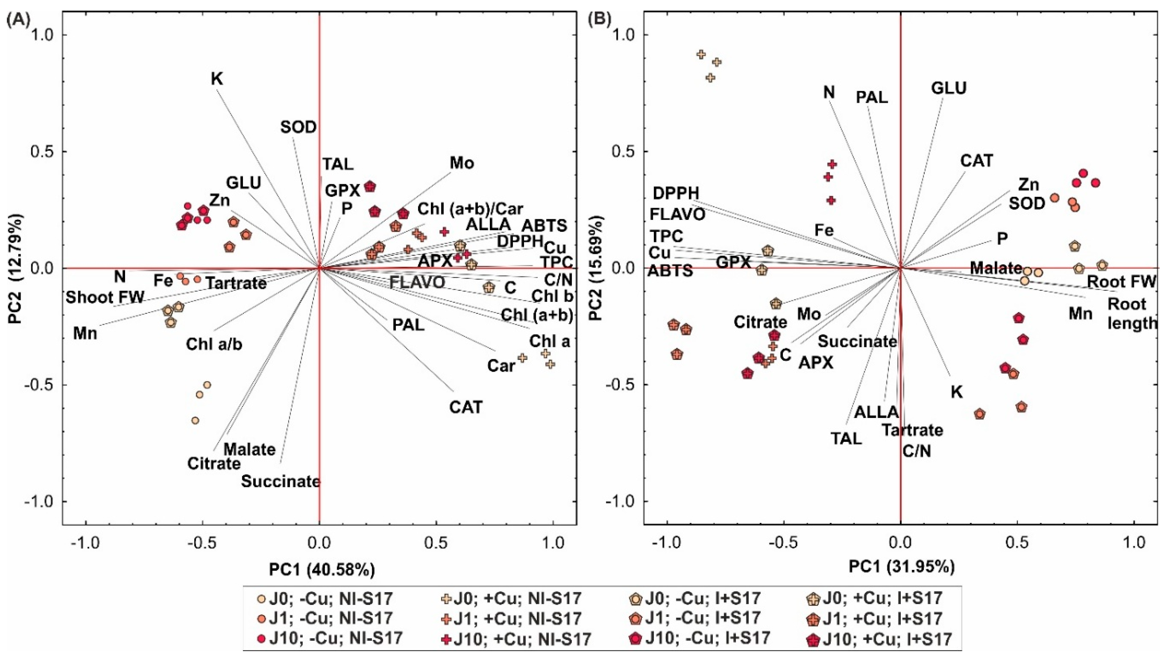Ijms 20 01909 g009 Ijms 20 01909 g009