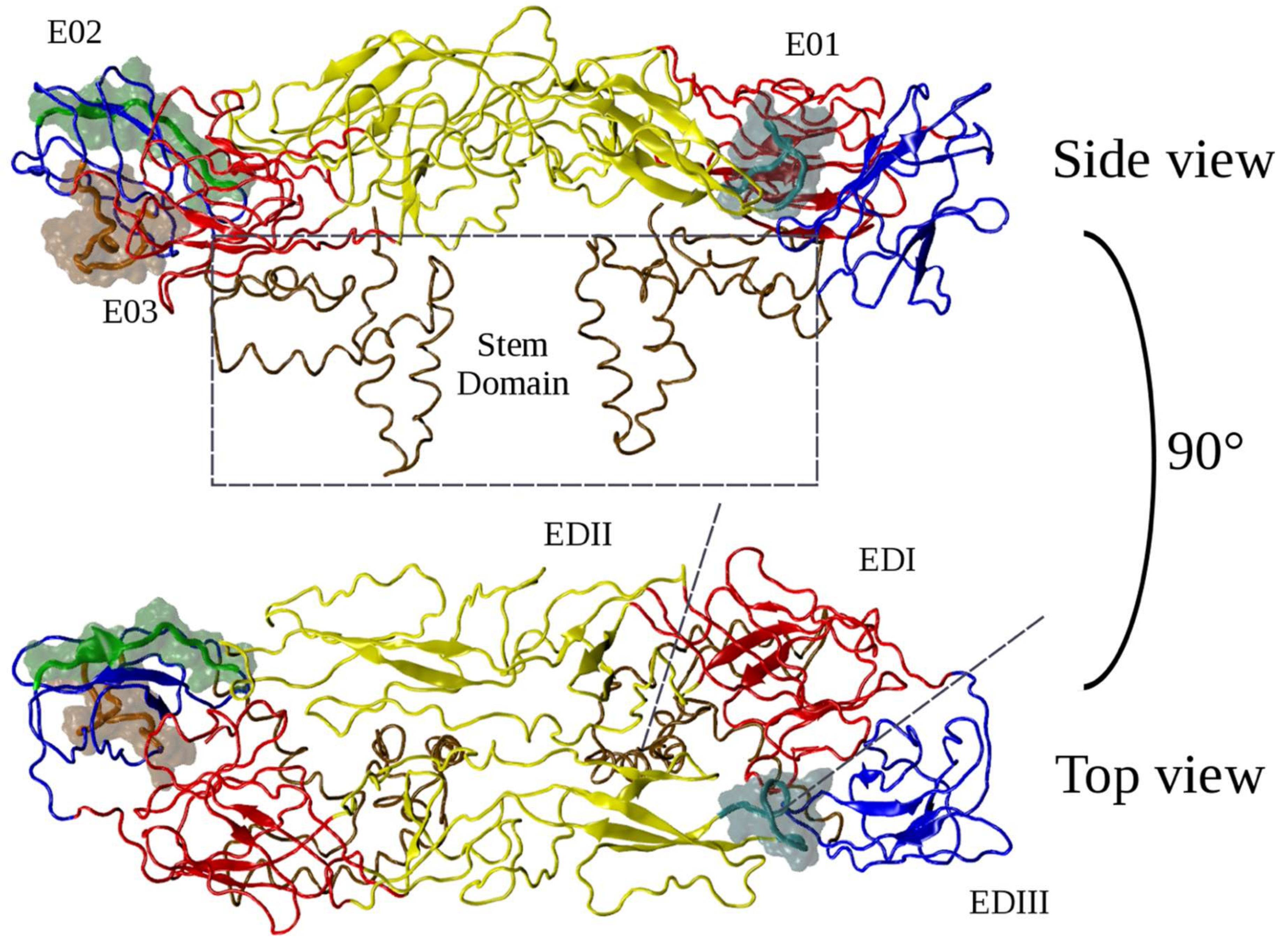 Ijms 20 01921 g001 Ijms 20 01921 g001