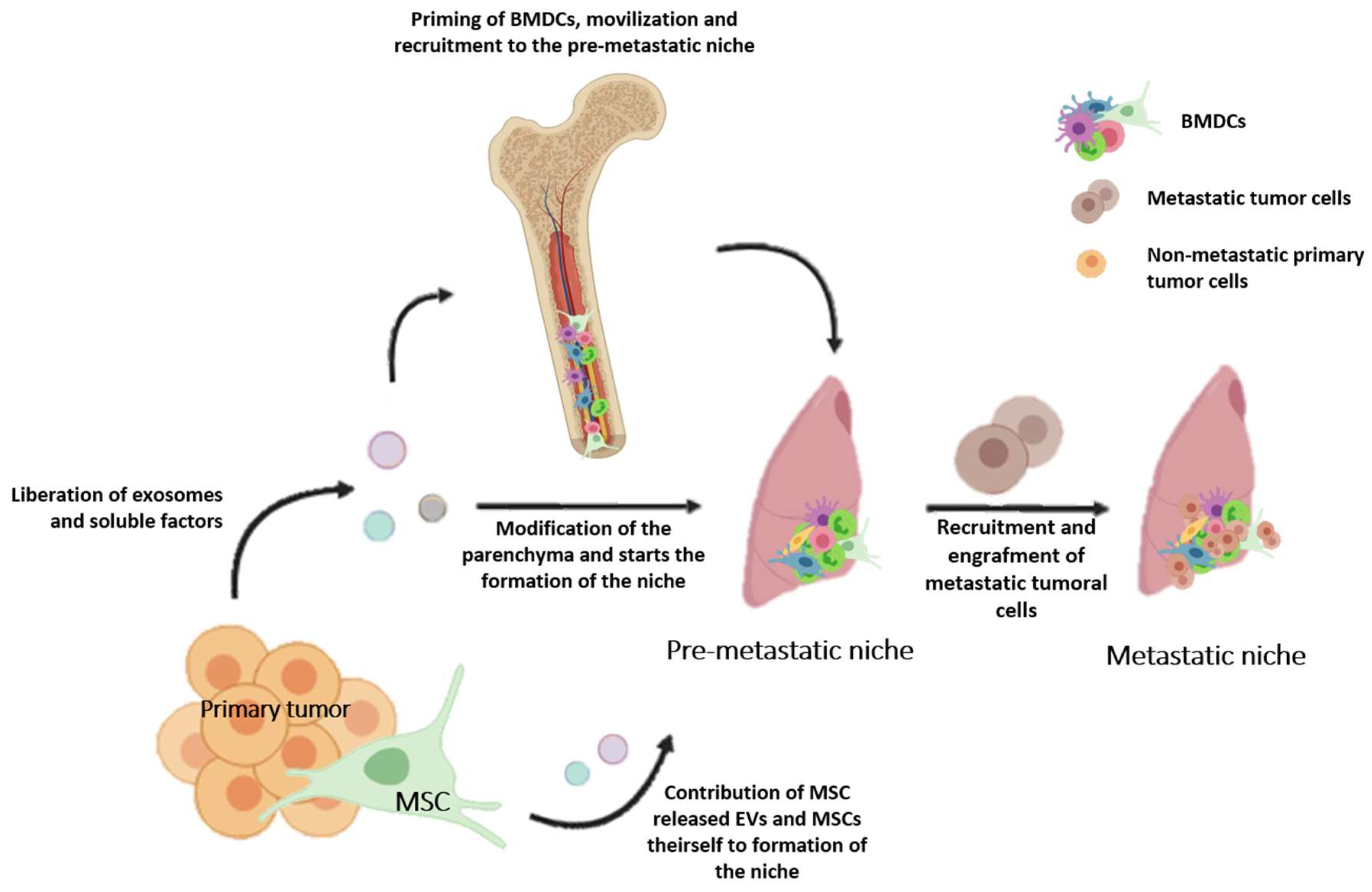 Ijms 20 01946 g001 Ijms 20 01946 g001
