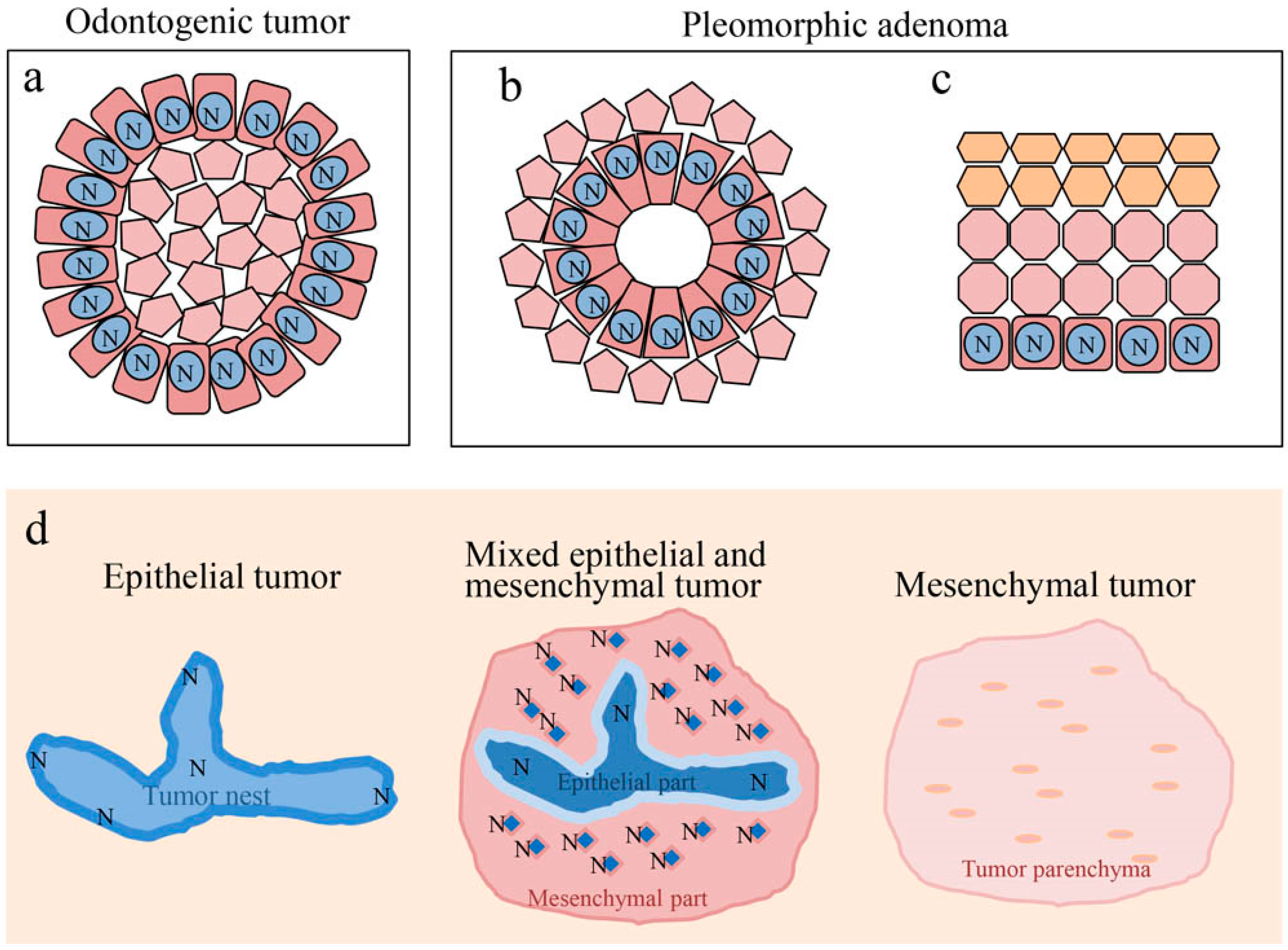 Ijms 20 01973 g010 Ijms 20 01973 g010
