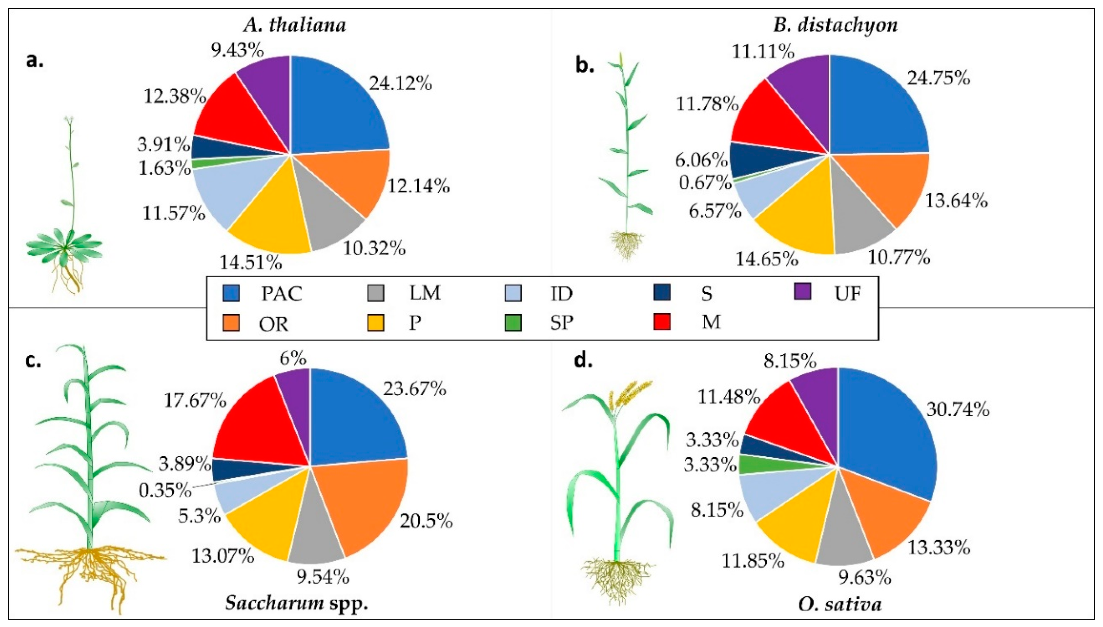 Ijms 20 01975 g001 Ijms 20 01975 g001