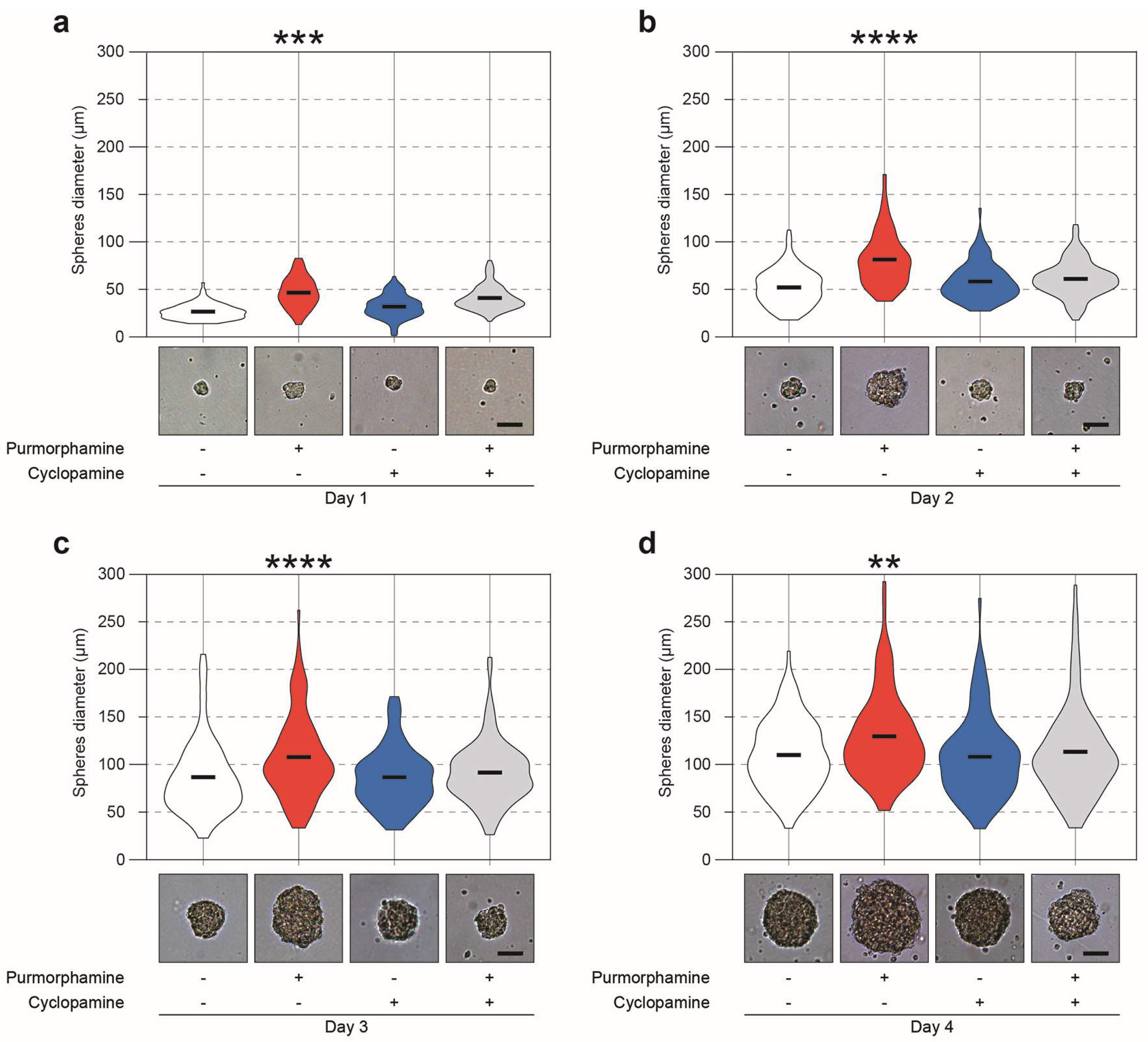 Ijms 20 01991 g003 Ijms 20 01991 g003