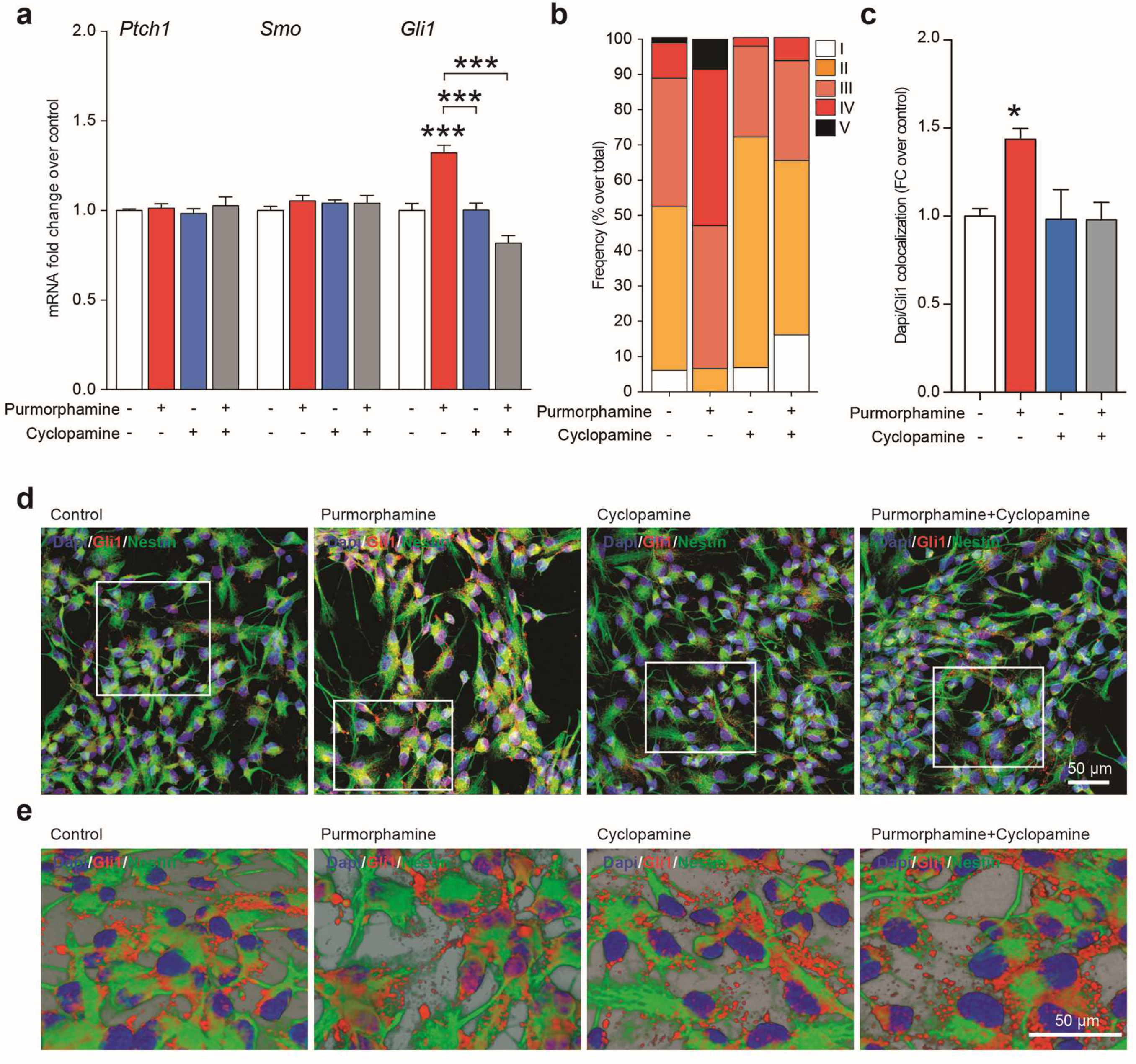 Ijms 20 01991 g004 Ijms 20 01991 g004