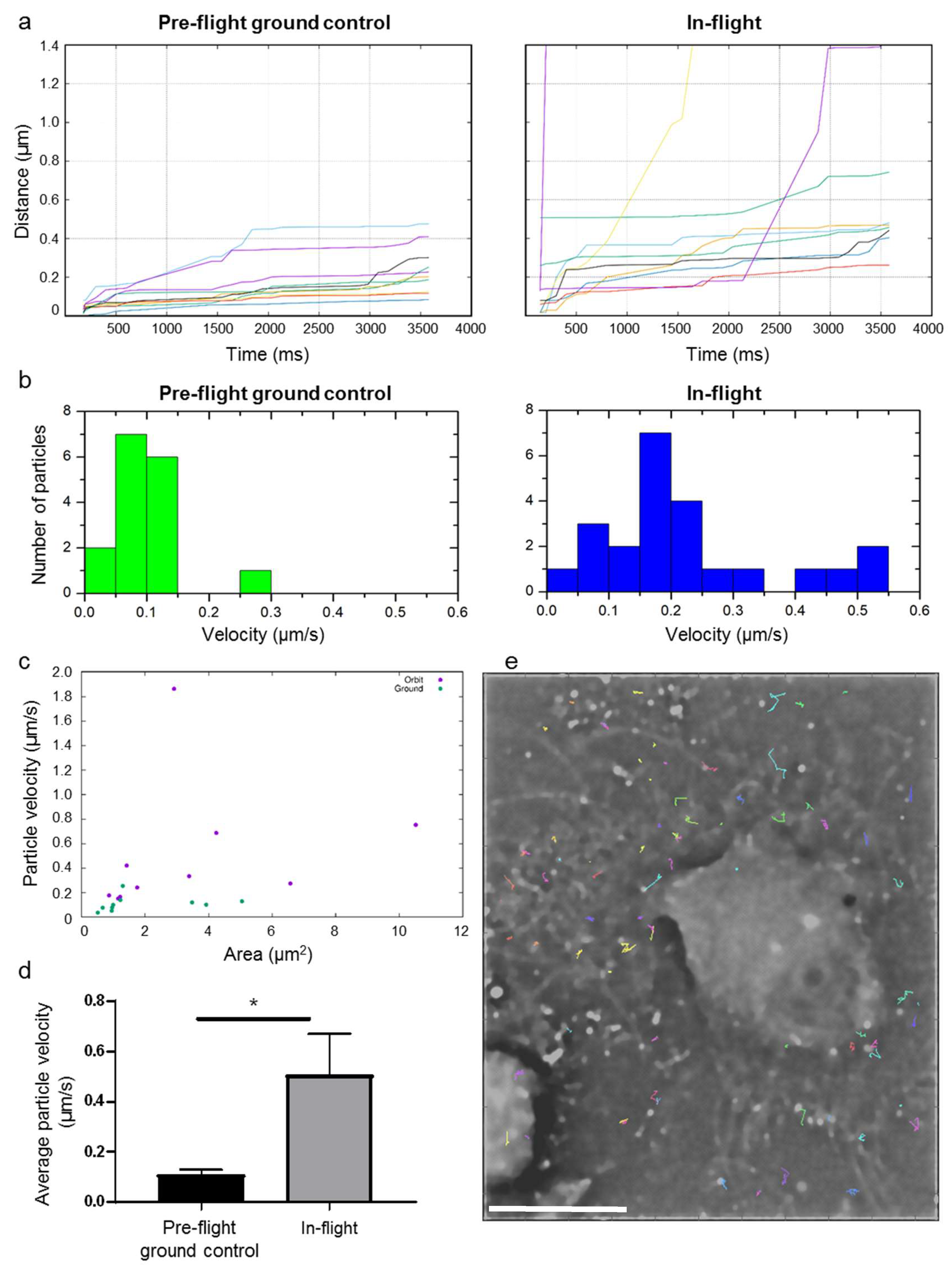Ijms 20 02033 g006 Ijms 20 02033 g006