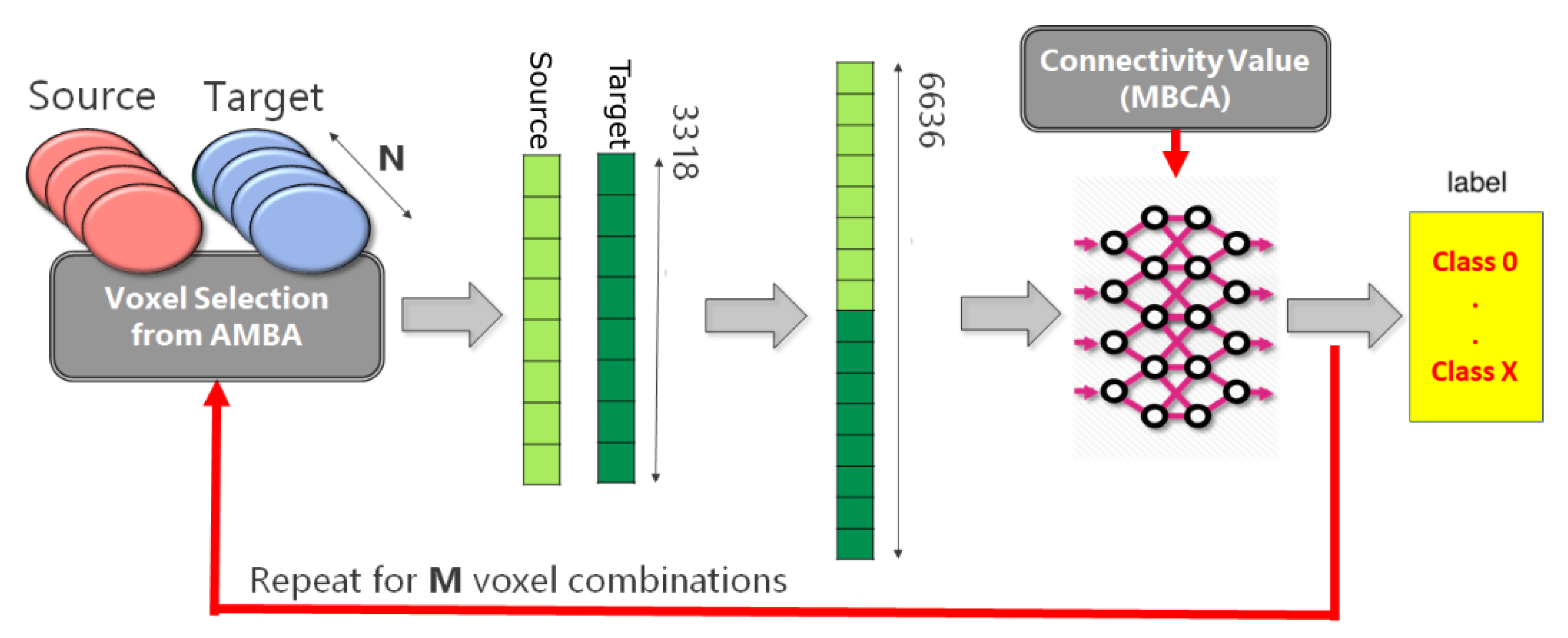 Ijms 20 02035 g001 Ijms 20 02035 g001