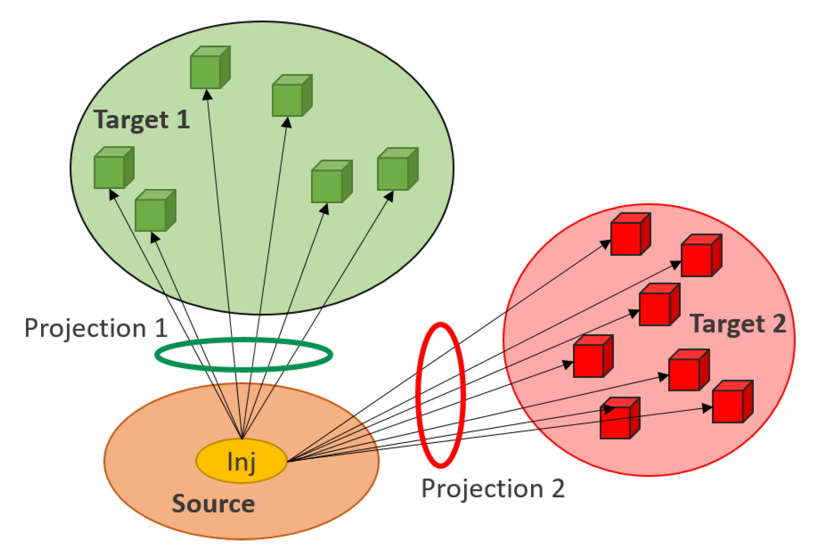 Ijms 20 02035 g004 Ijms 20 02035 g004
