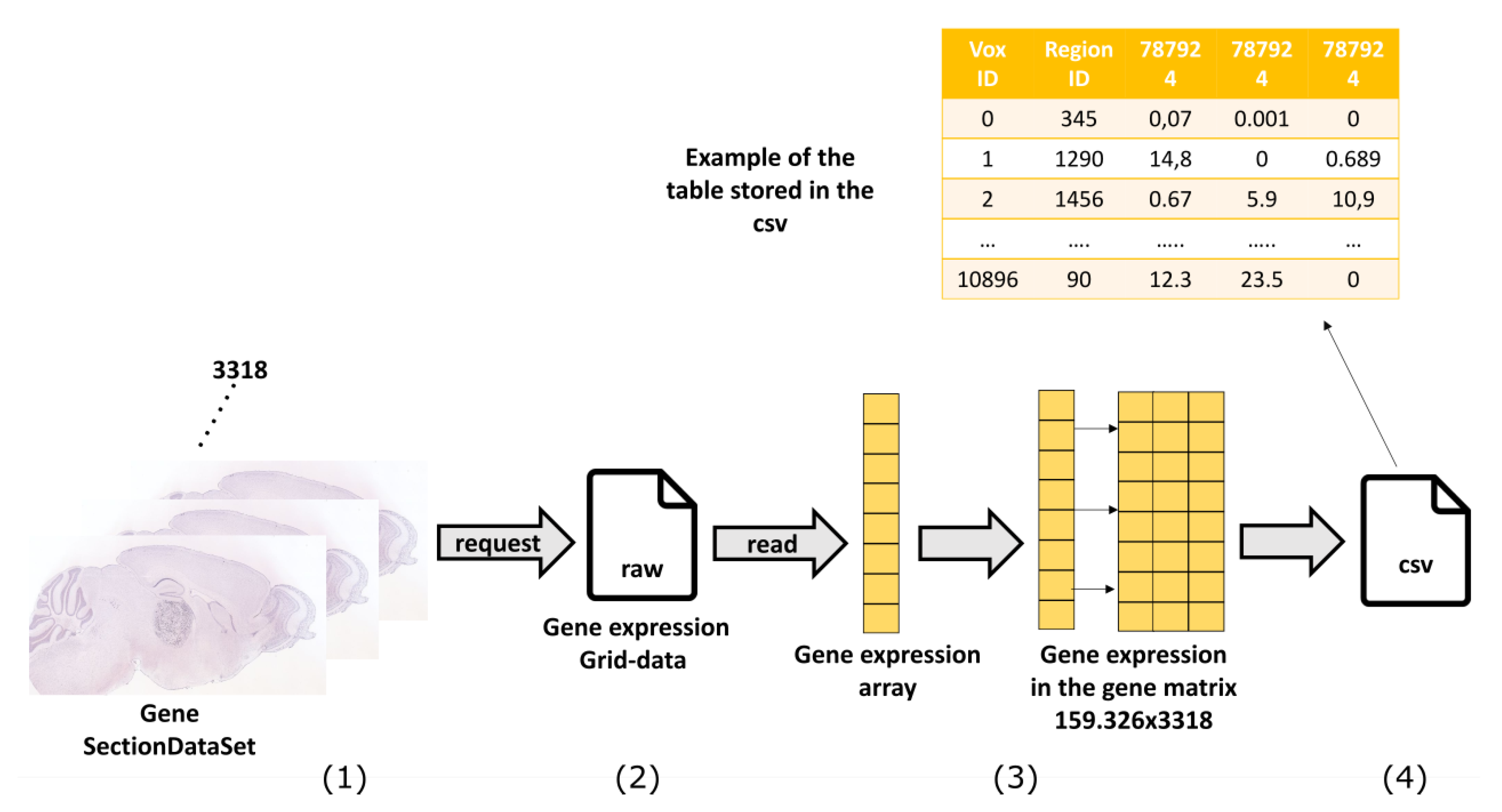 Ijms 20 02035 g005 Ijms 20 02035 g005