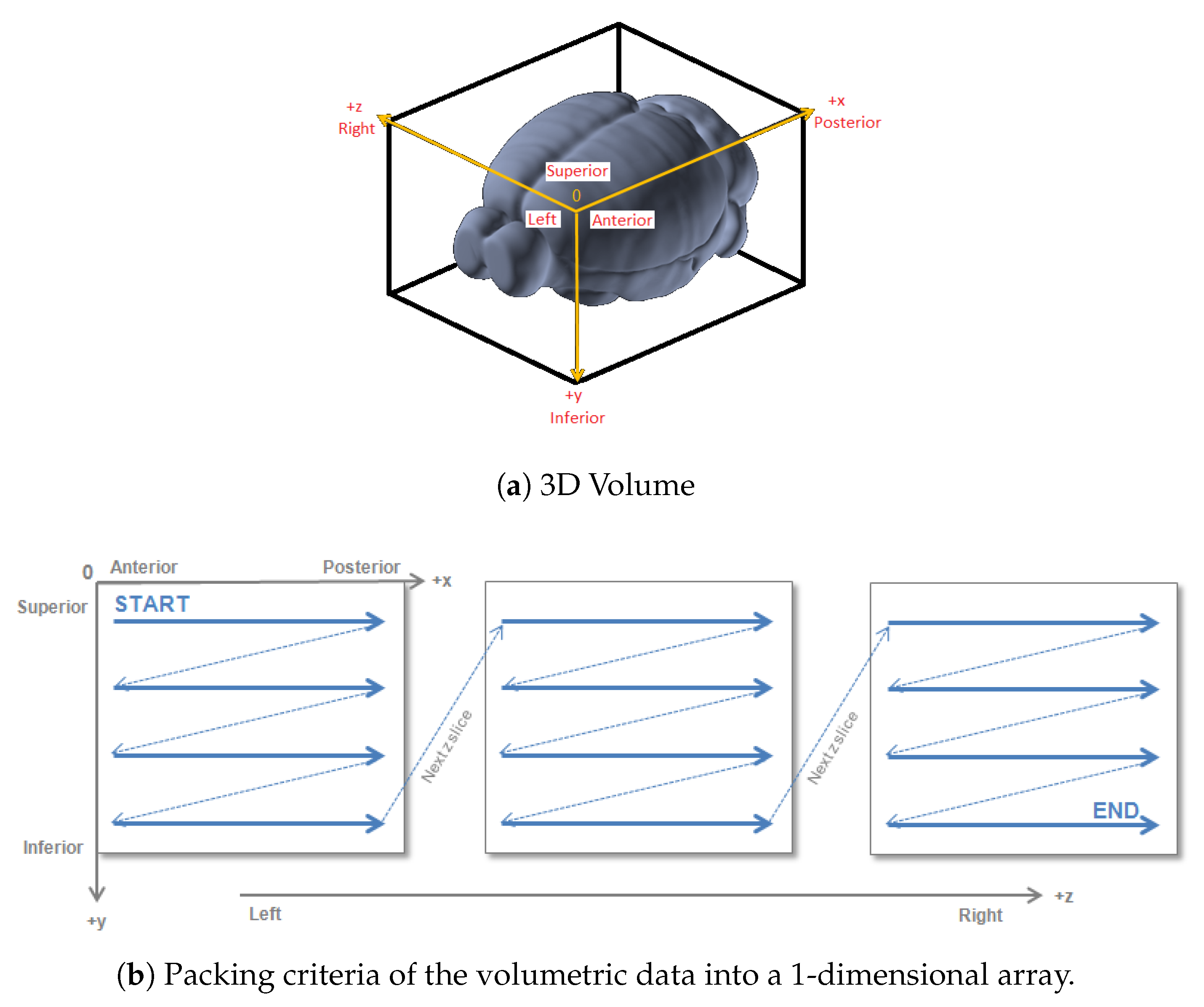 Ijms 20 02035 g006 Ijms 20 02035 g006