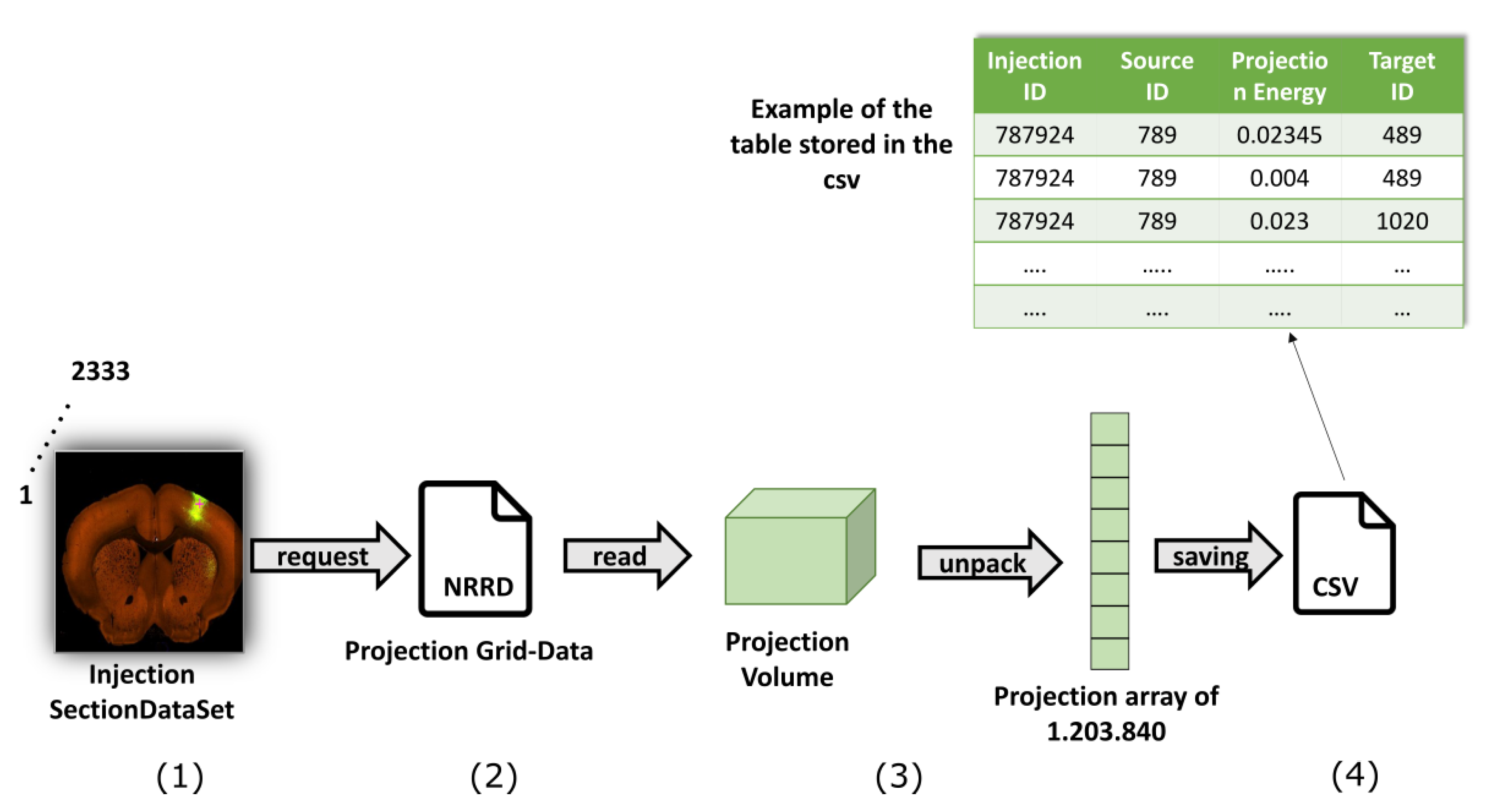 Ijms 20 02035 g007 Ijms 20 02035 g007