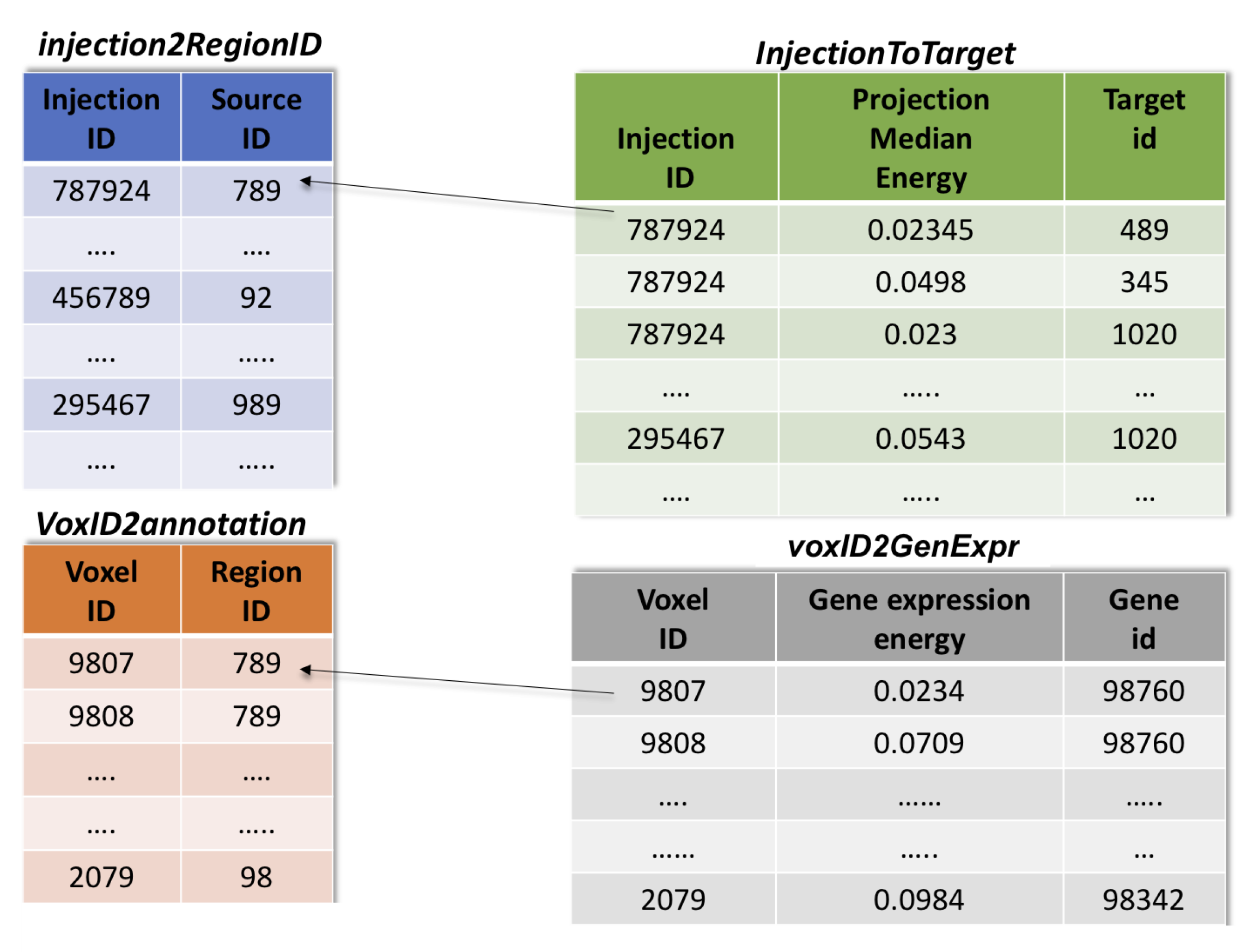 Ijms 20 02035 g009 Ijms 20 02035 g009