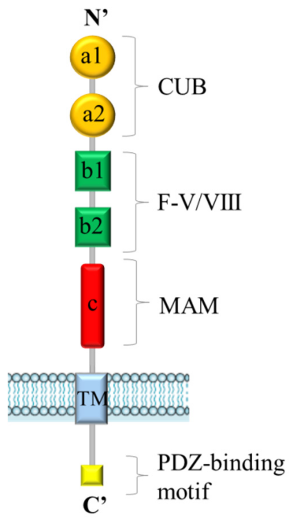 Ijms 20 02049 g001