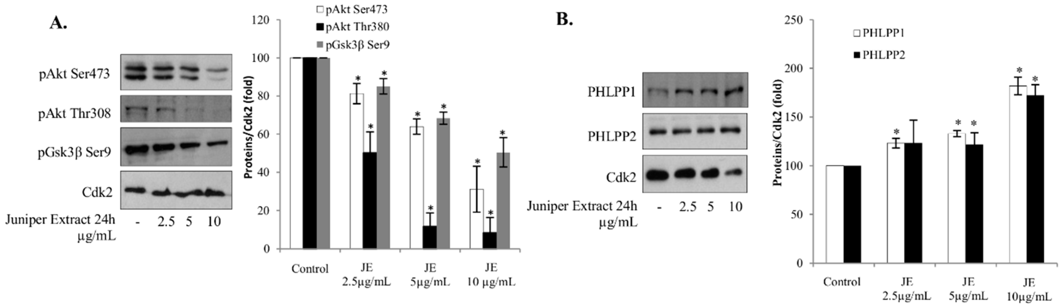 Ijms 20 02054 g002