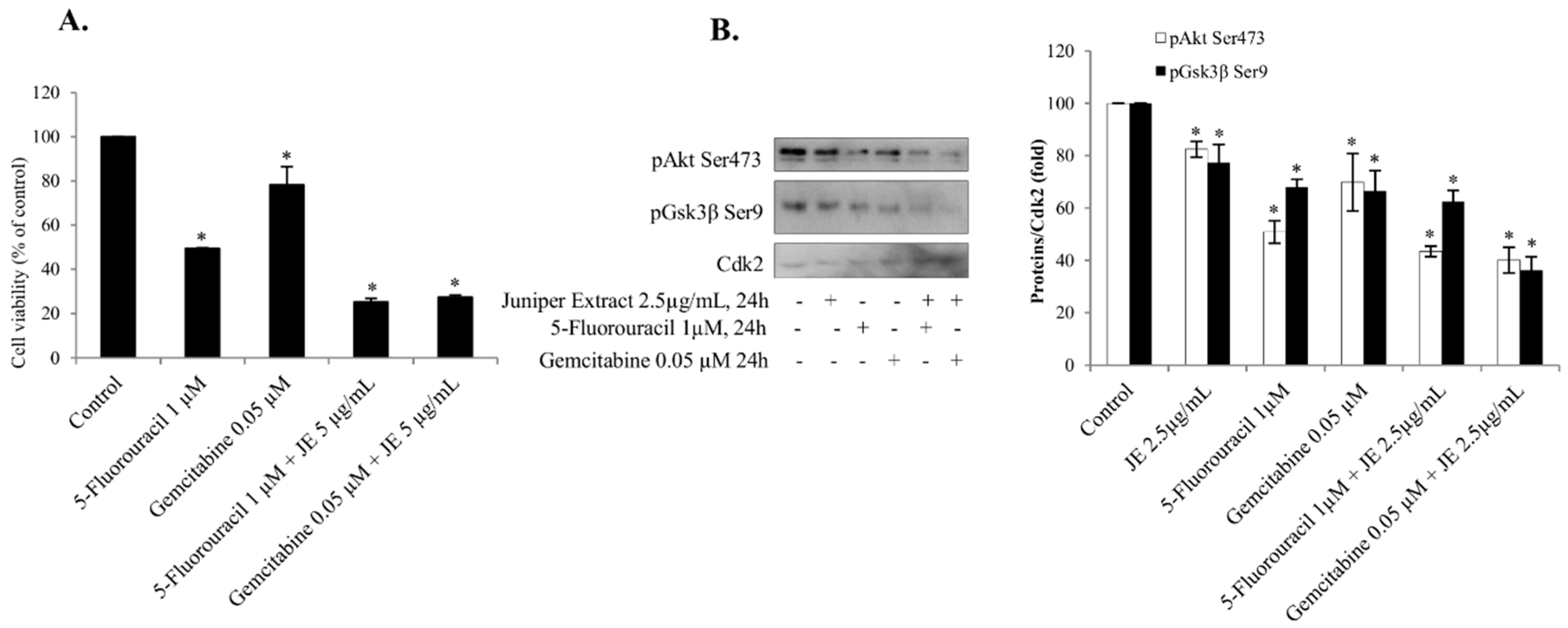 Ijms 20 02054 g004