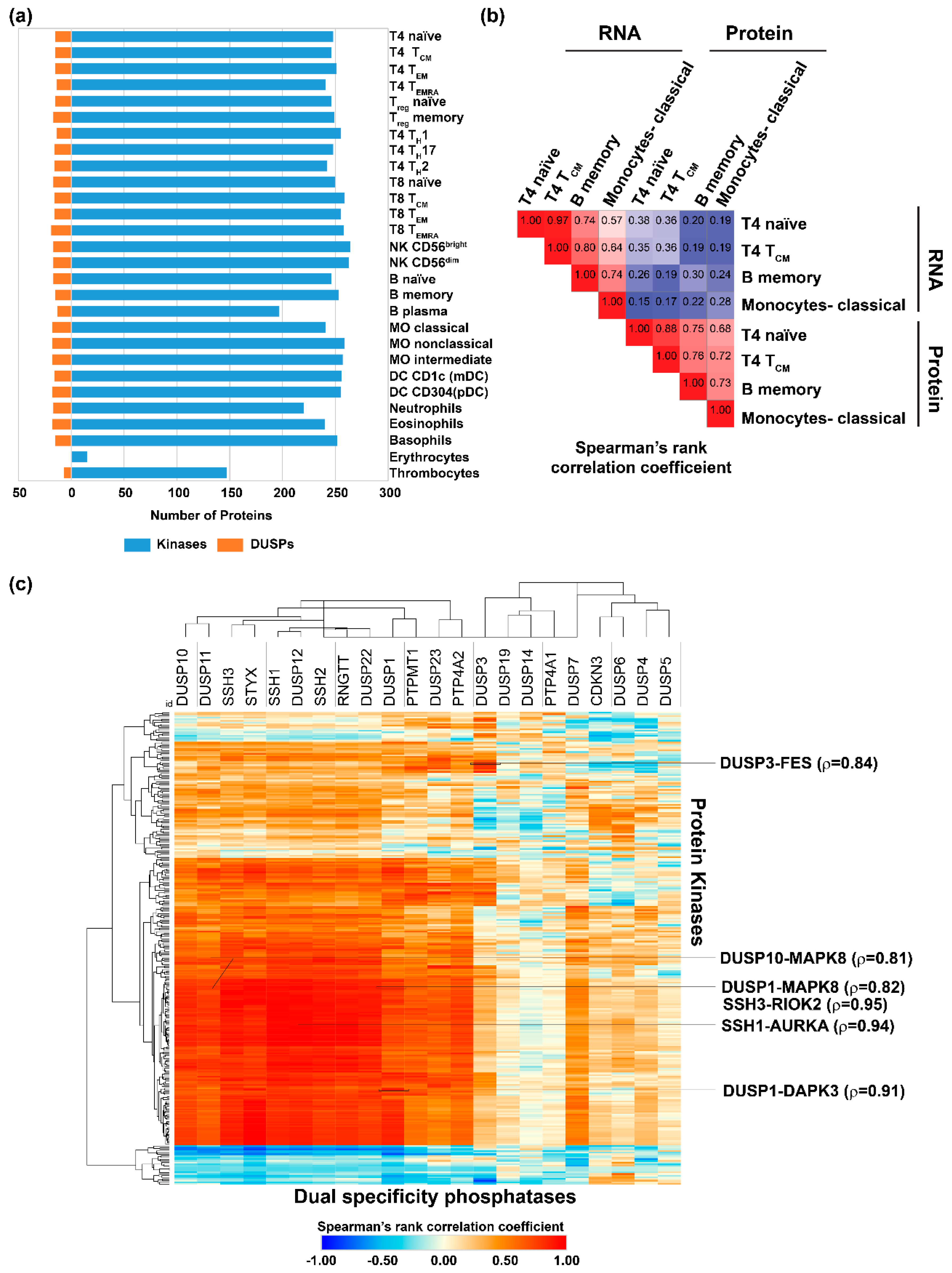 Ijms 20 02086 g002 Ijms 20 02086 g002