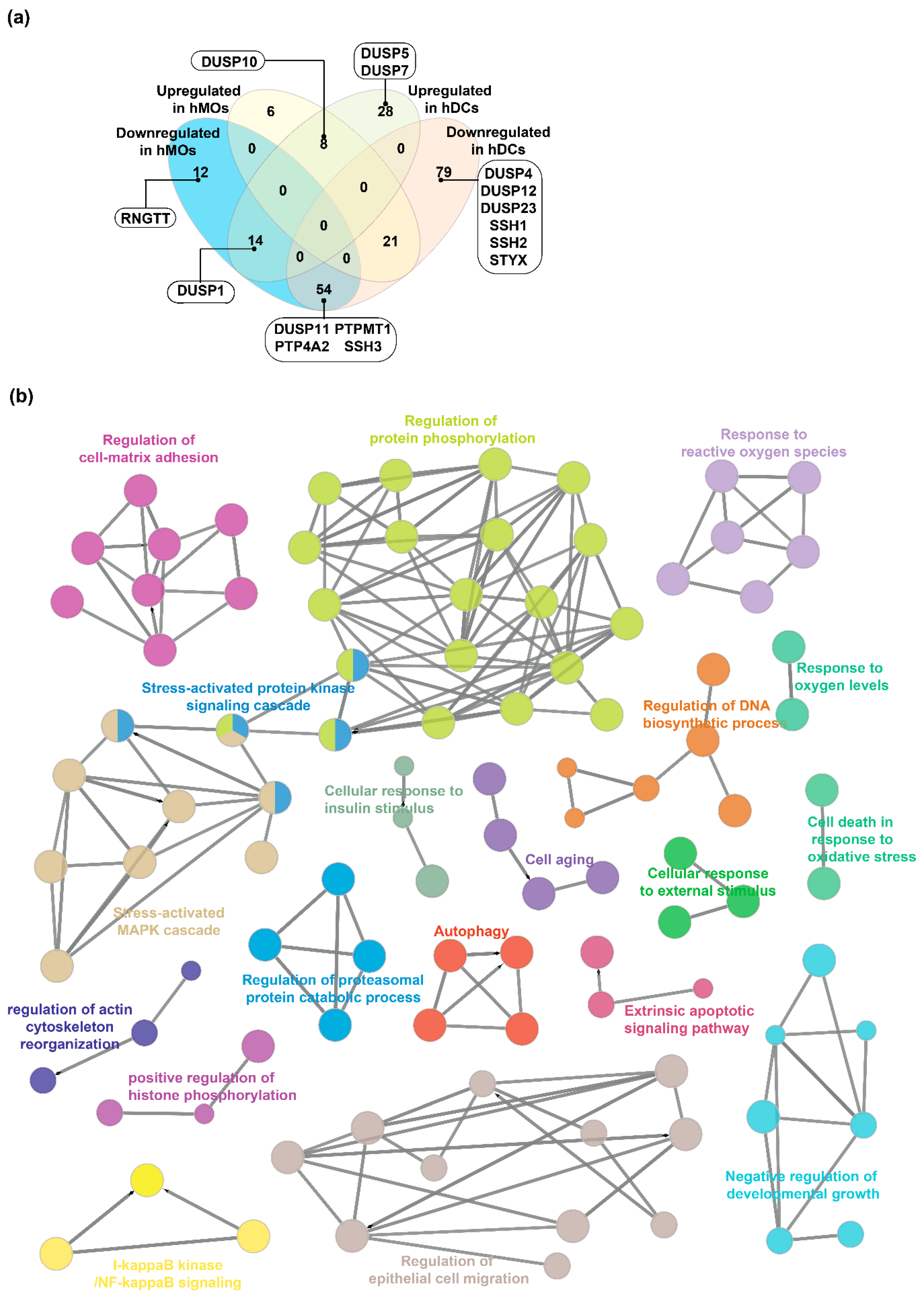 Ijms 20 02086 g004 Ijms 20 02086 g004