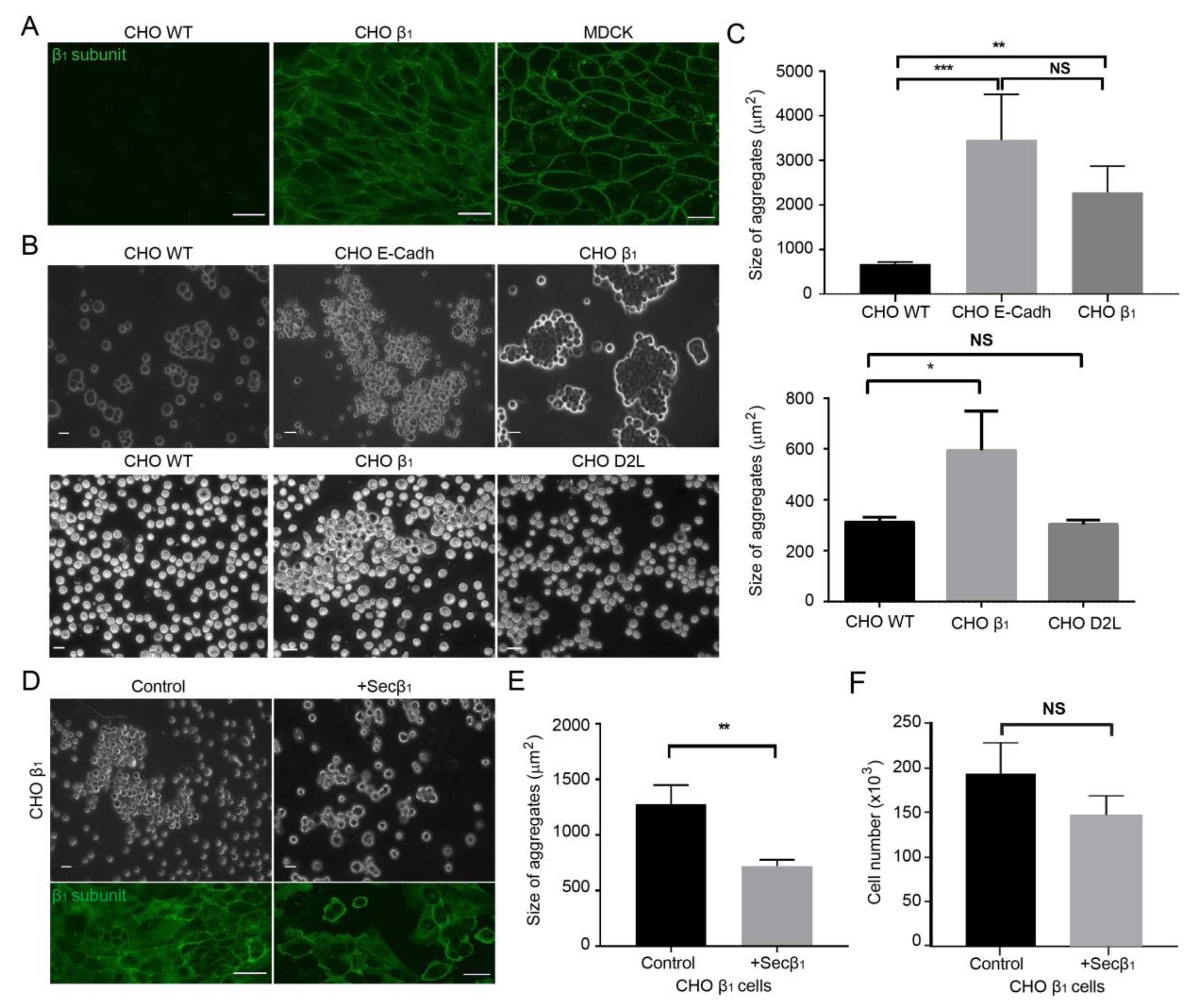 Ijms 20 02111 g001 Ijms 20 02111 g001