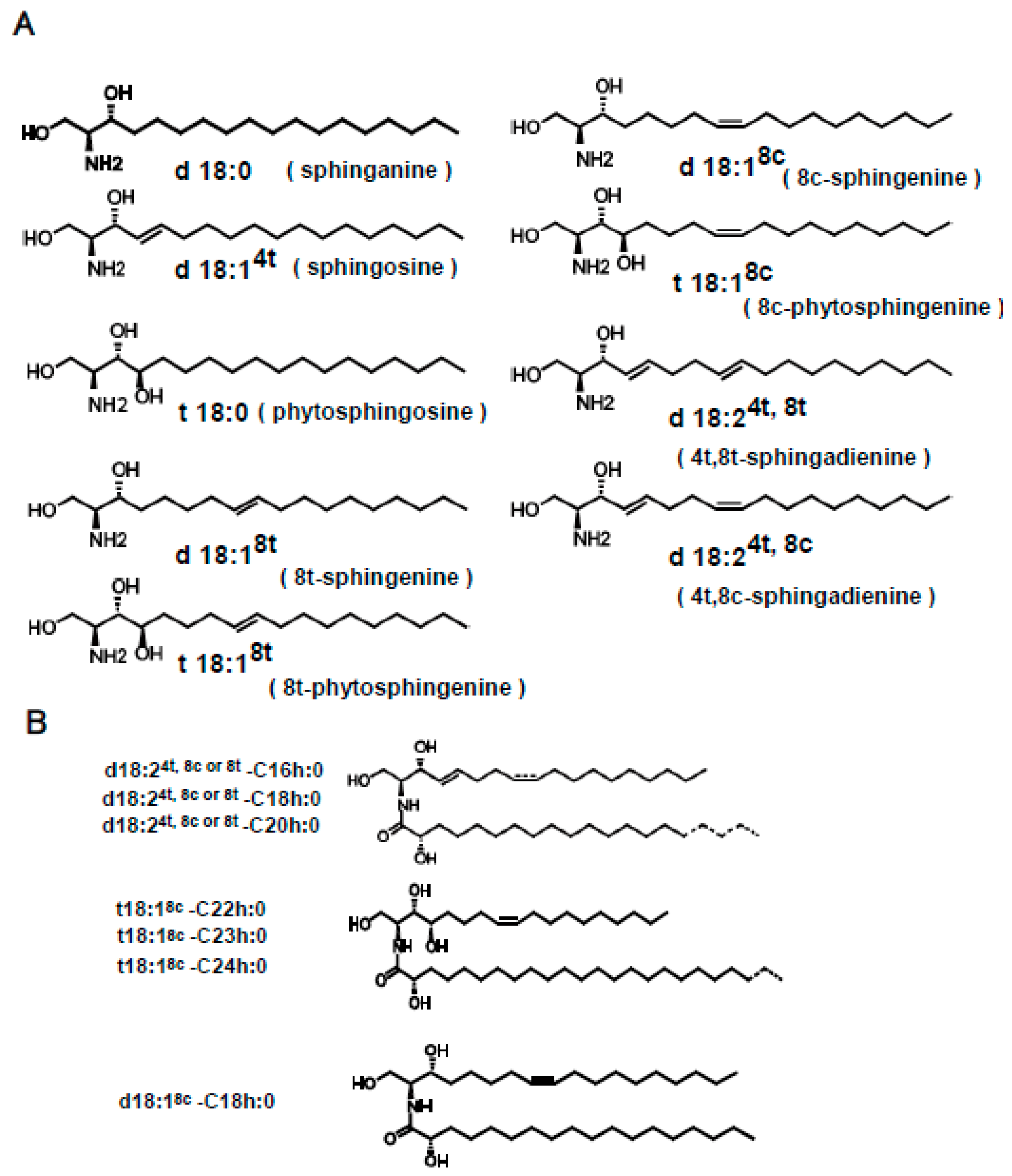 Ijms 20 02116 g001 Ijms 20 02116 g001