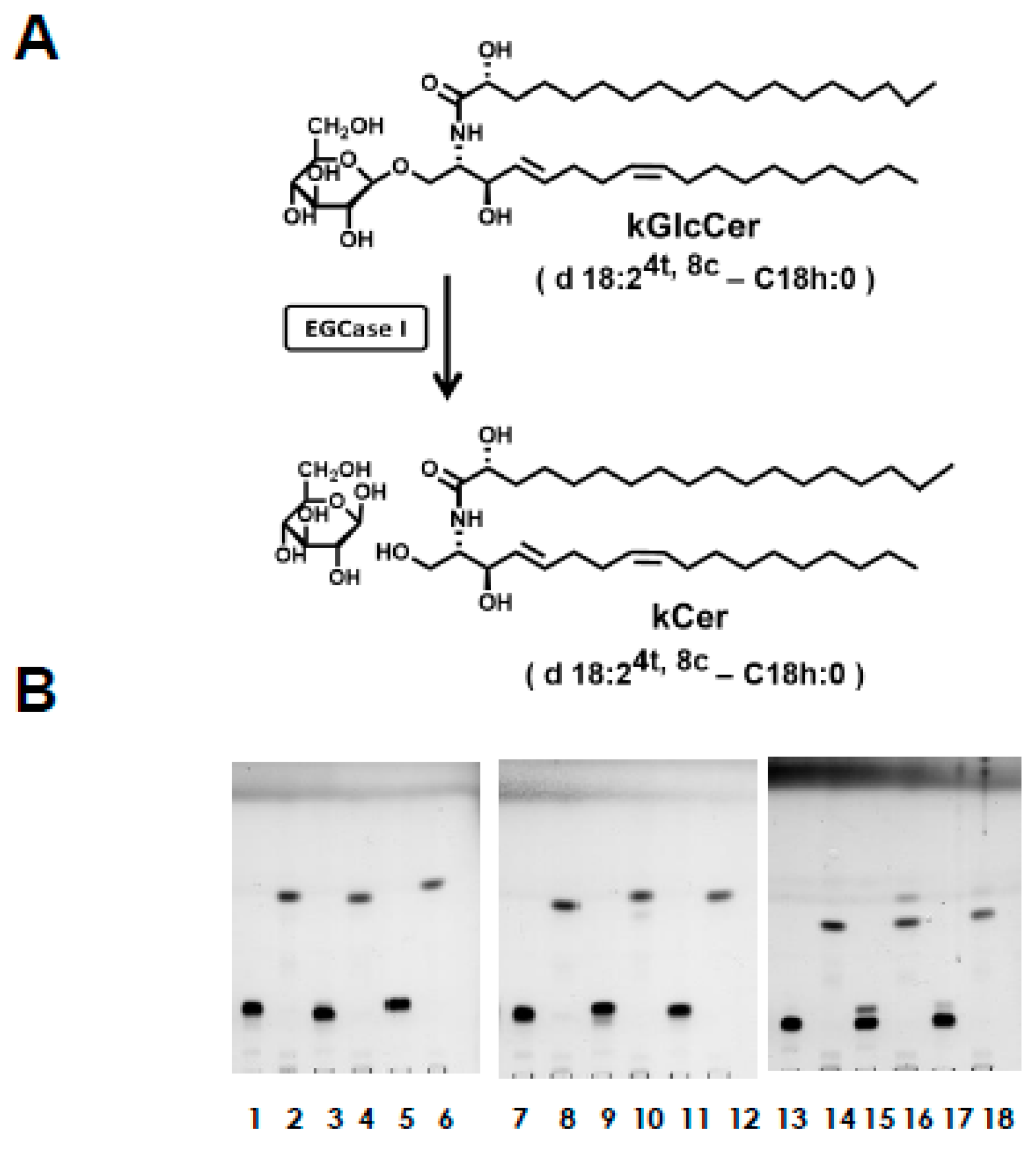 Ijms 20 02116 g002 Ijms 20 02116 g002