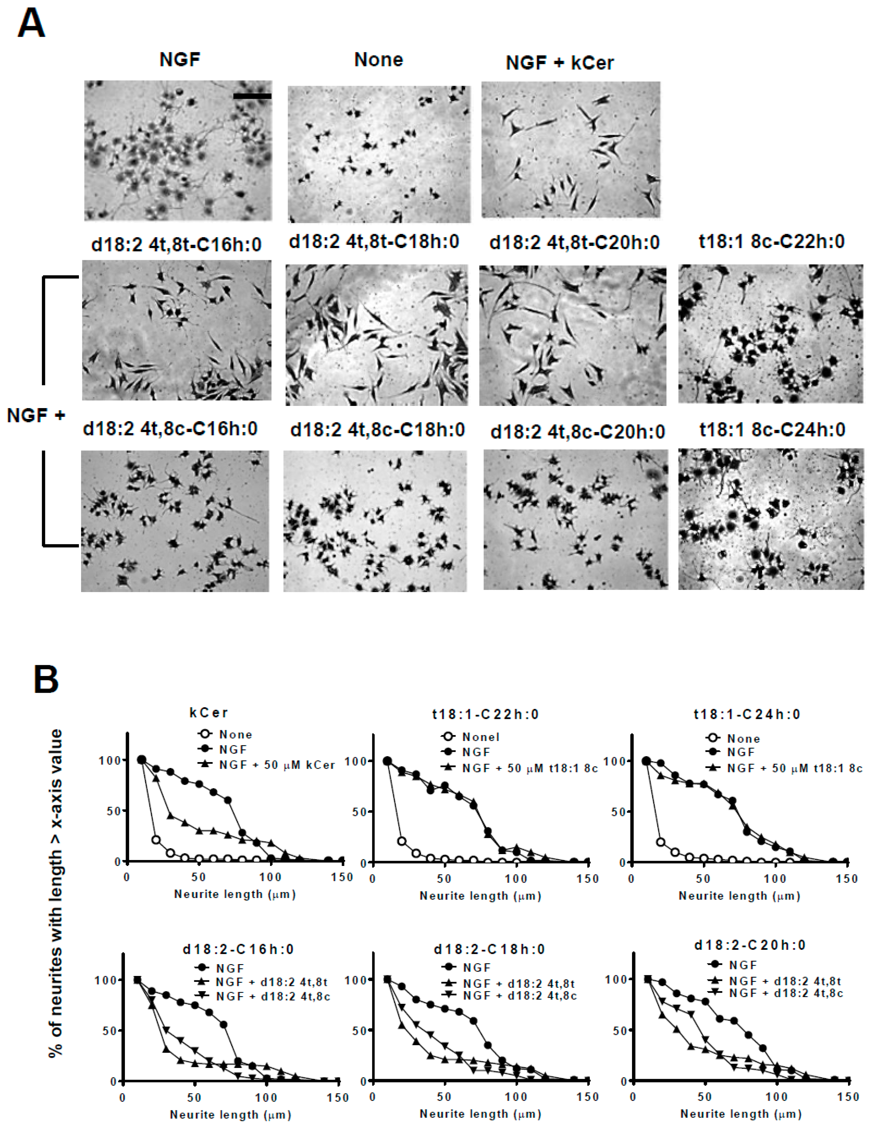 Ijms 20 02116 g004 Ijms 20 02116 g004
