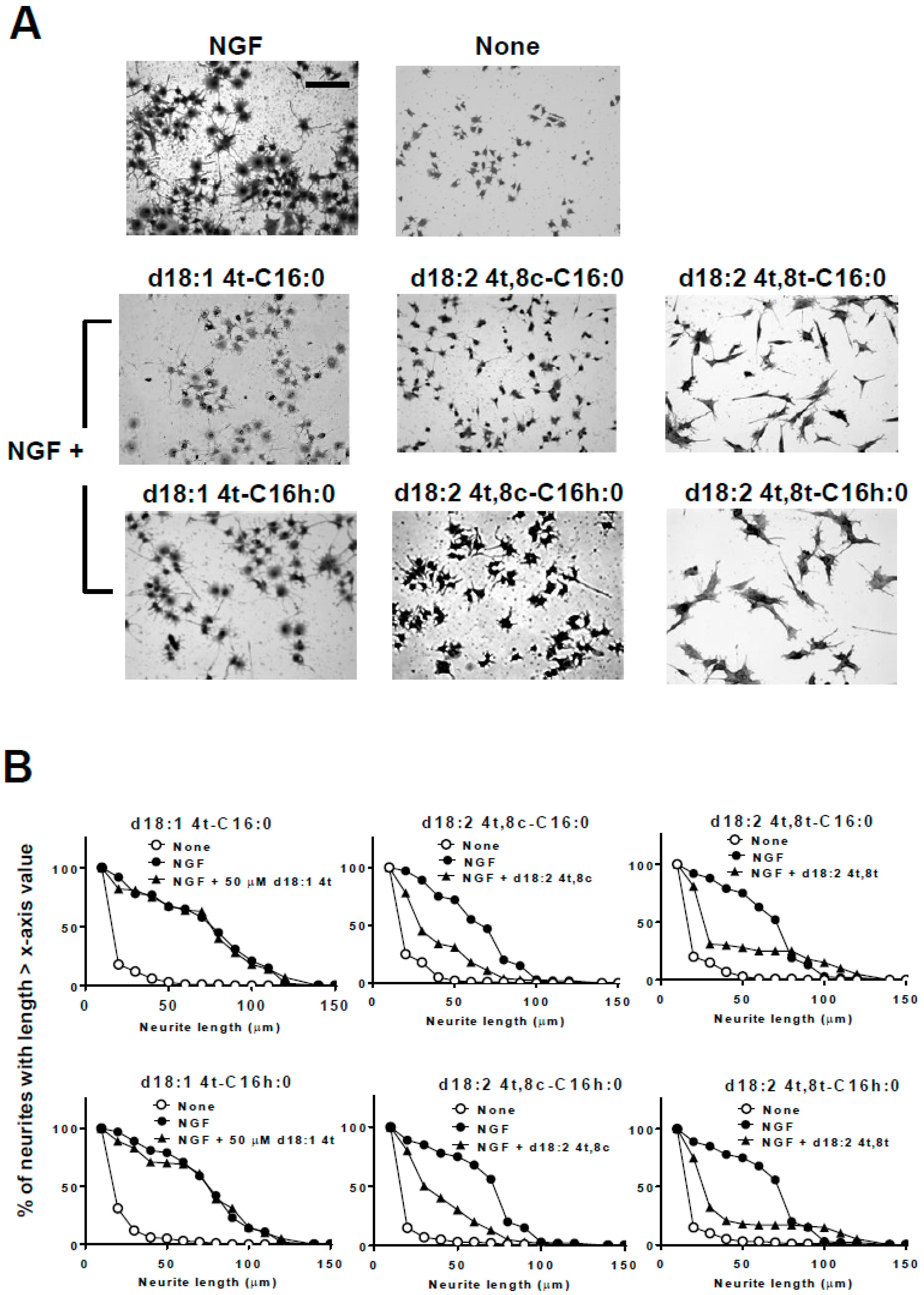 Ijms 20 02116 g005 Ijms 20 02116 g005