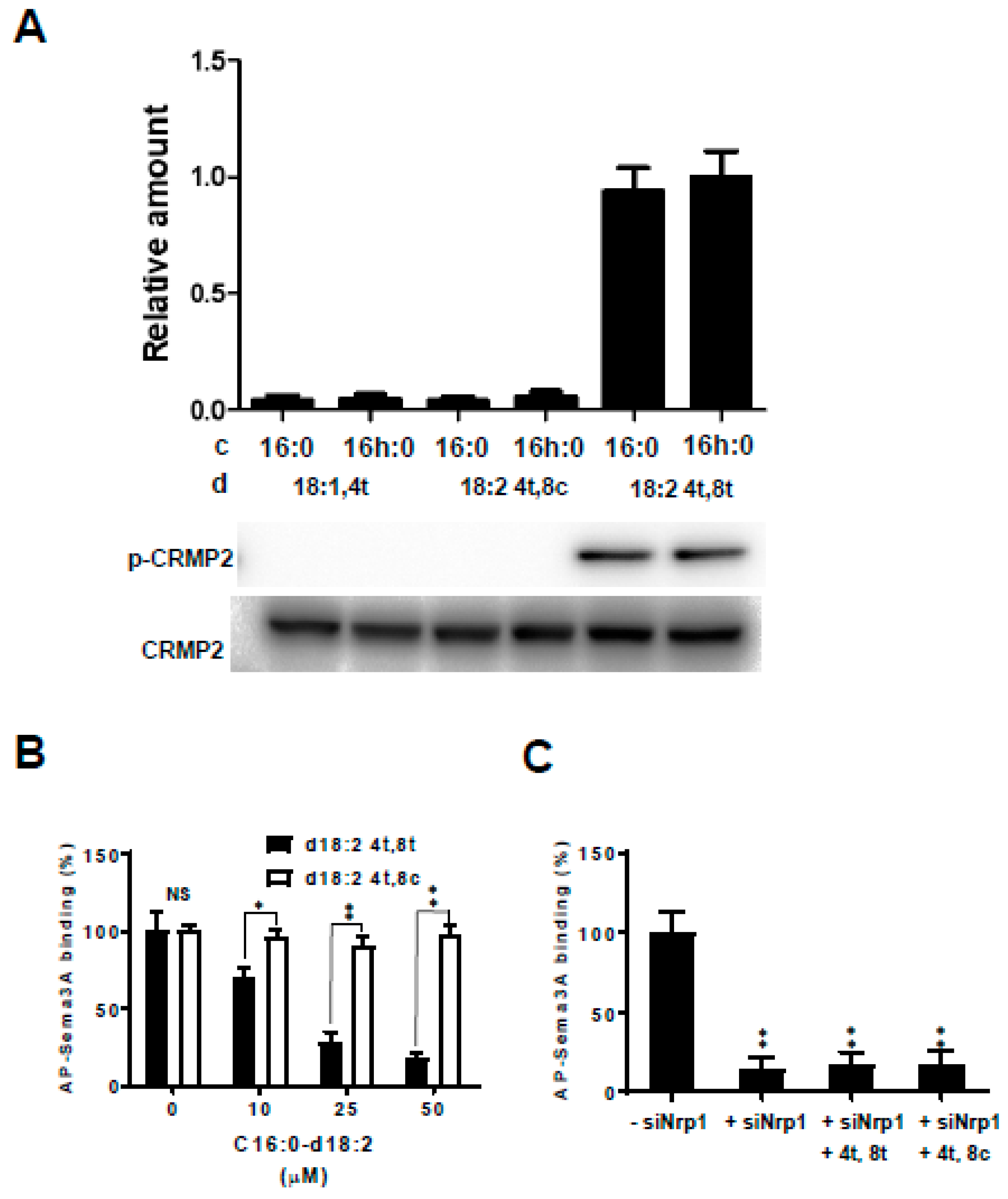 Ijms 20 02116 g006 Ijms 20 02116 g006