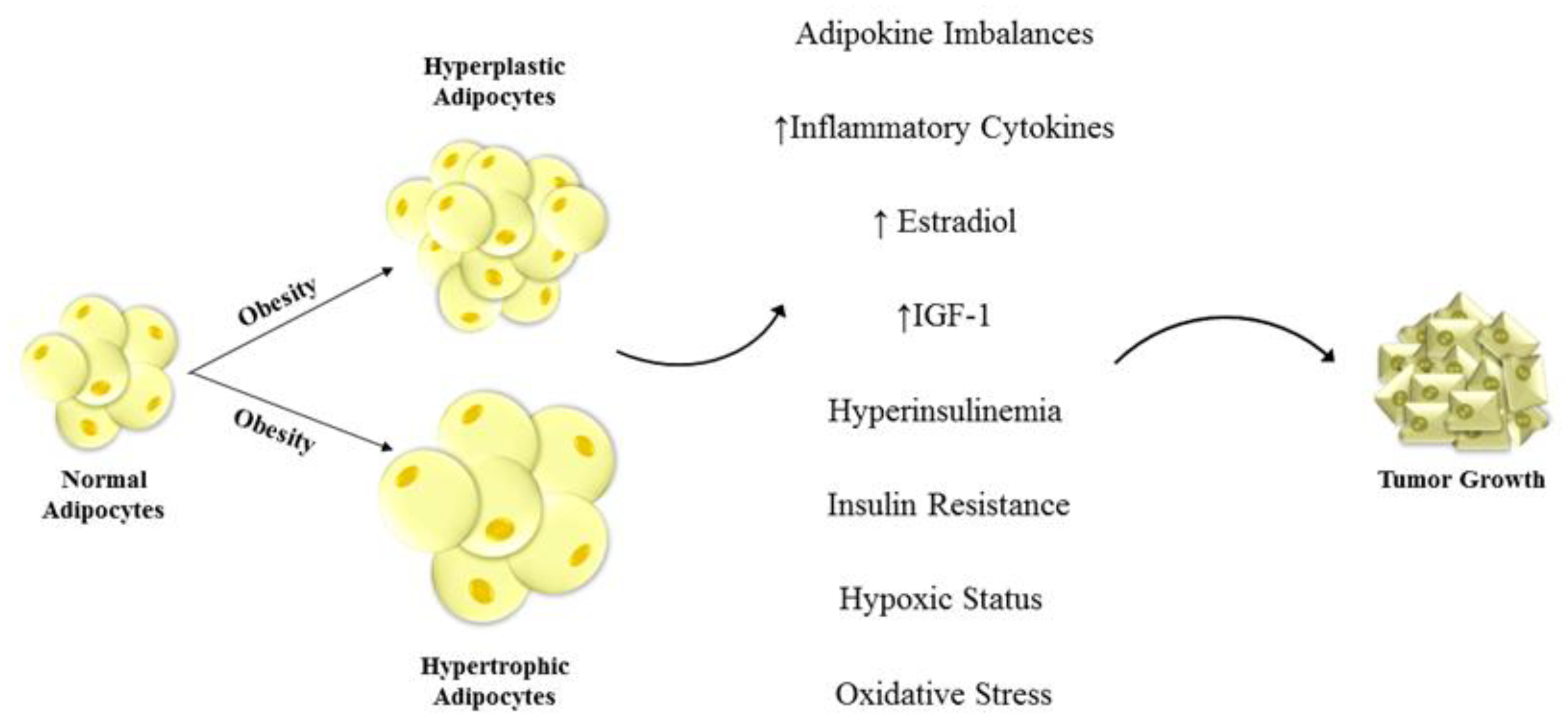 Ijms 20 02127 g001 Ijms 20 02127 g001