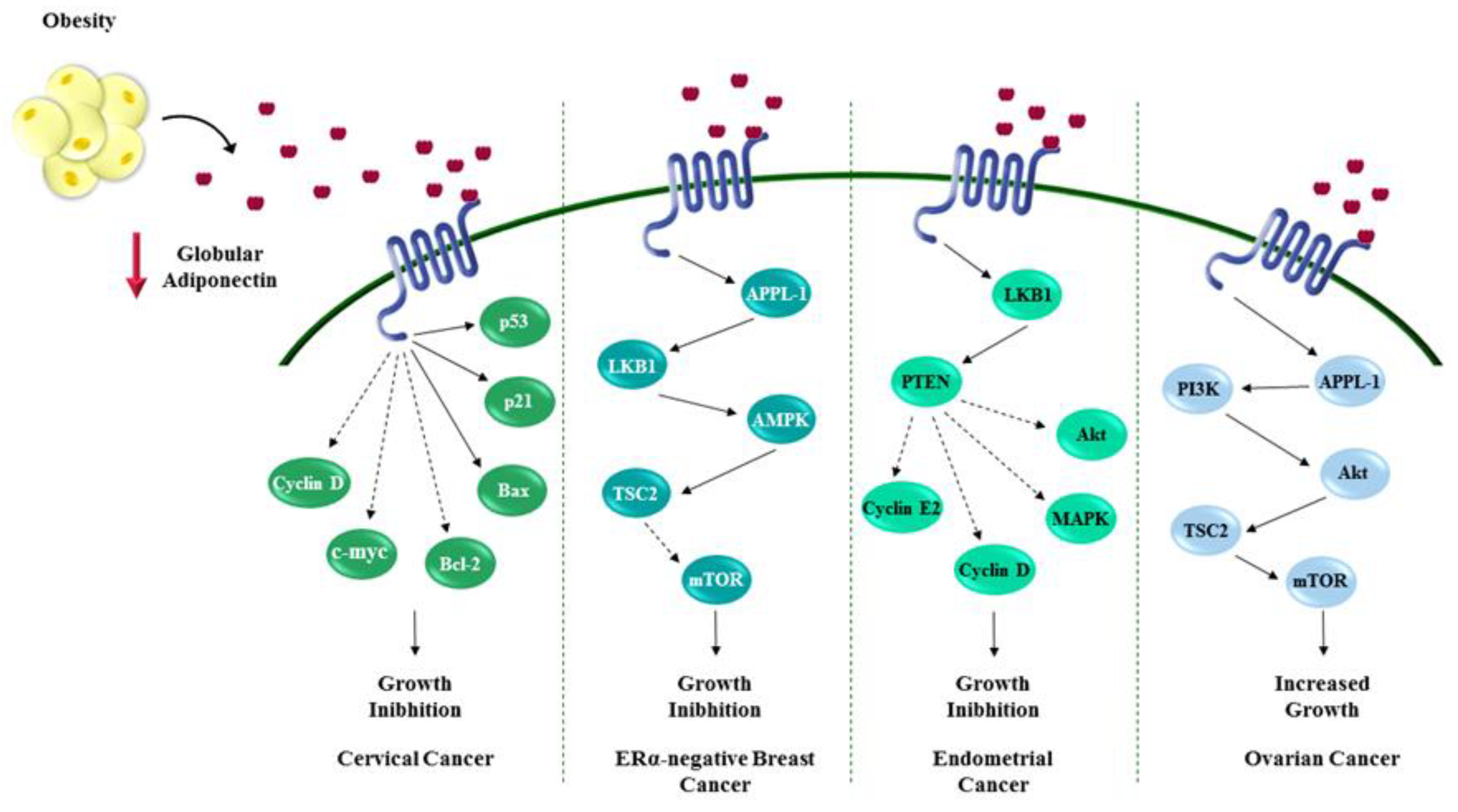 Ijms 20 02127 g002 Ijms 20 02127 g002